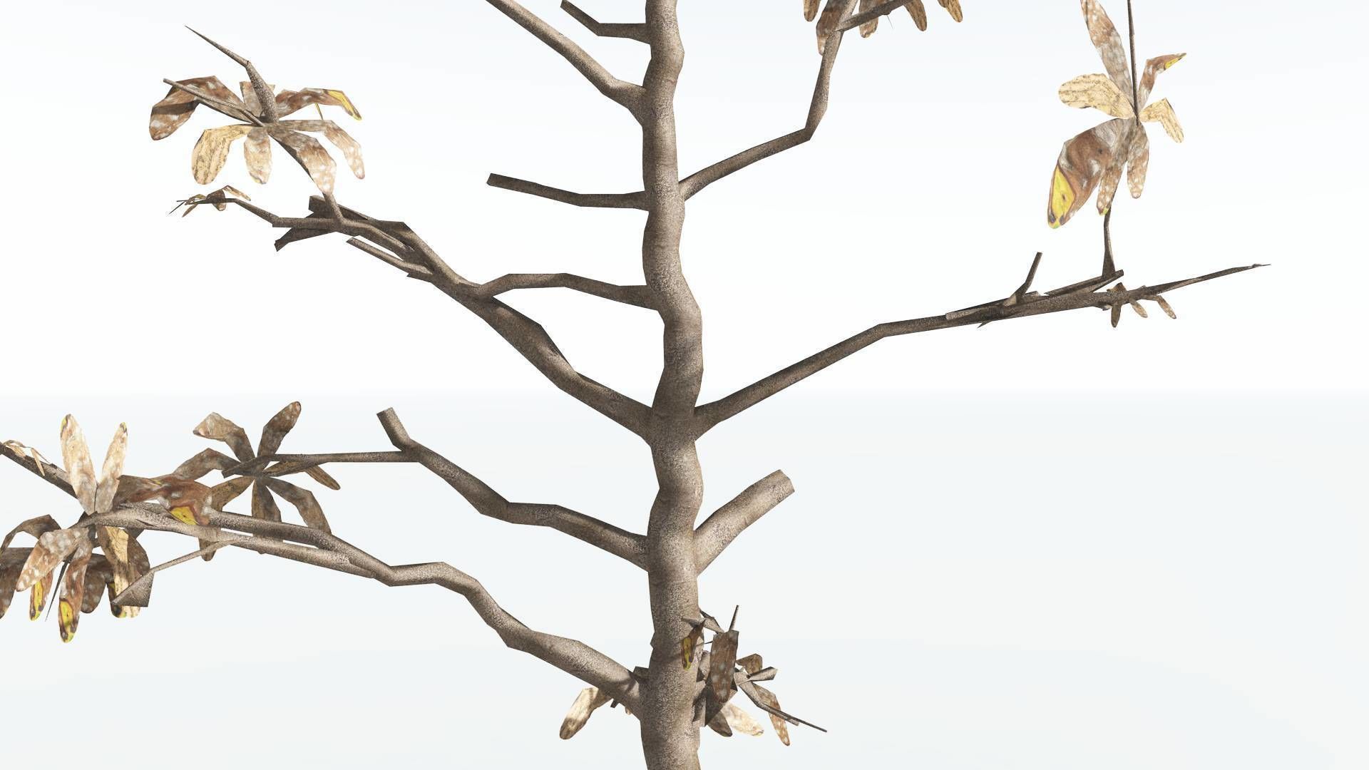 EVERYPlant Glossopteris LowPoly 2 --20 Models-- Low-poly 3D model_20