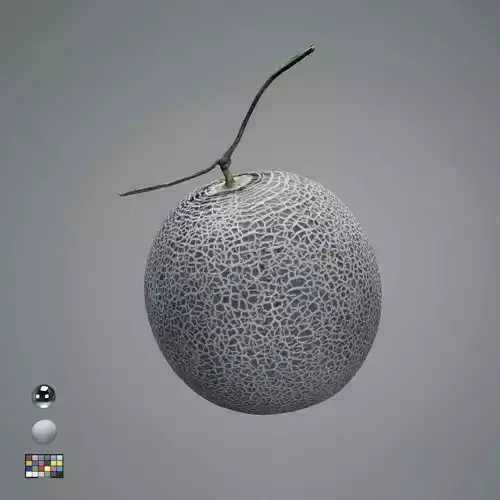 Japan Green Melon Photorealistic 3D model