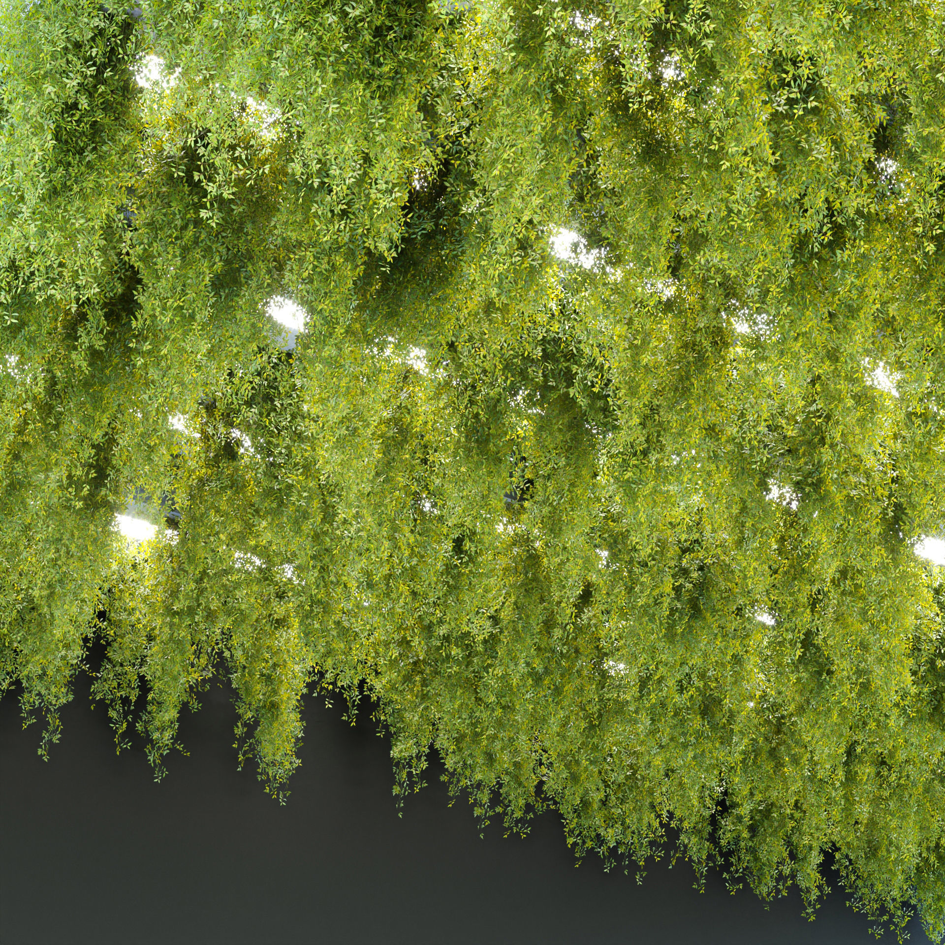 Hanging plants collection vol 248 Low-poly 3D model_3