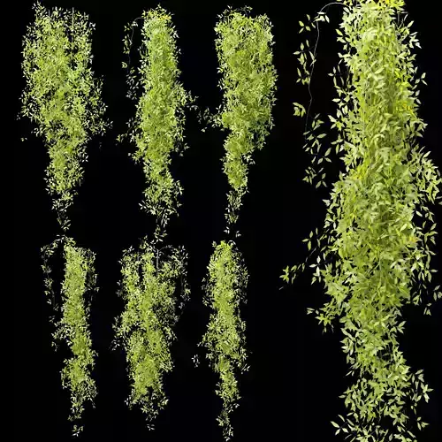 Hanging plants collection vol 248