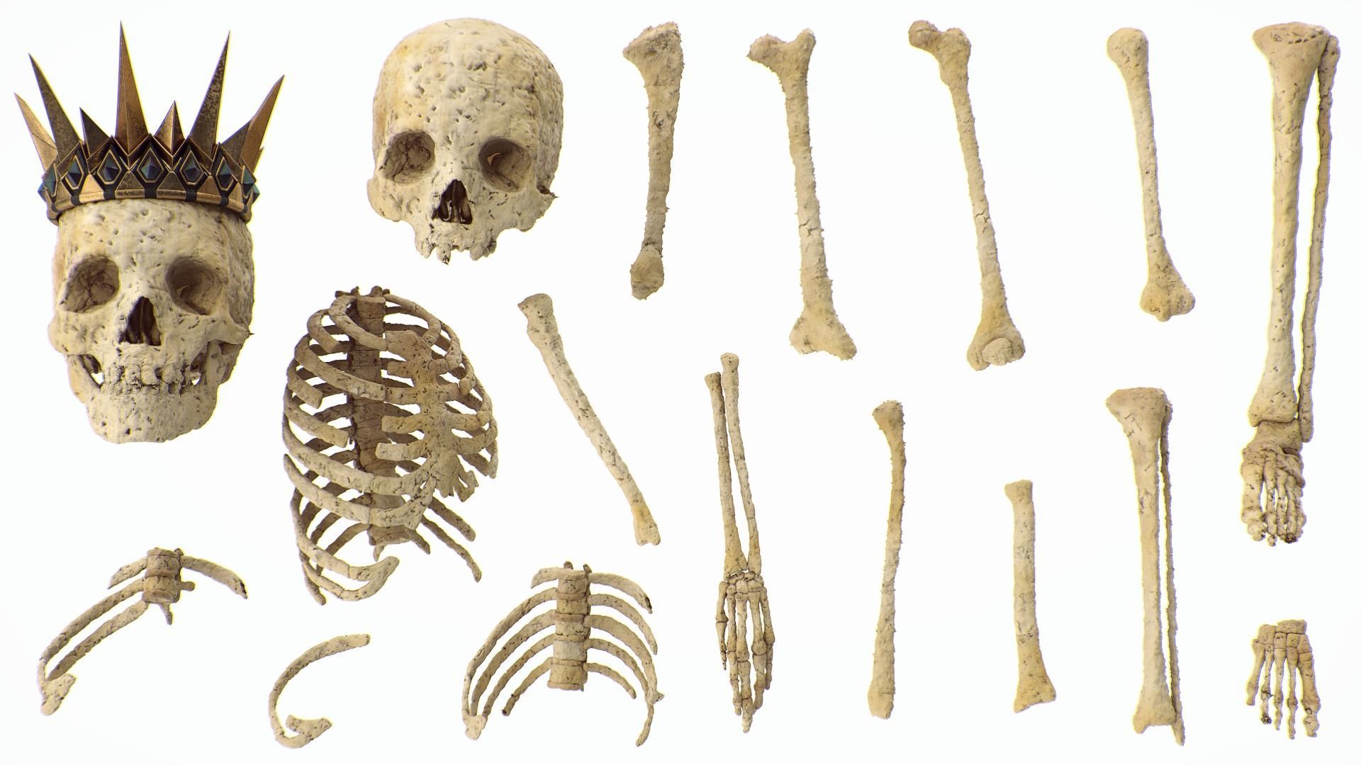 Undead treasure 3D model_3