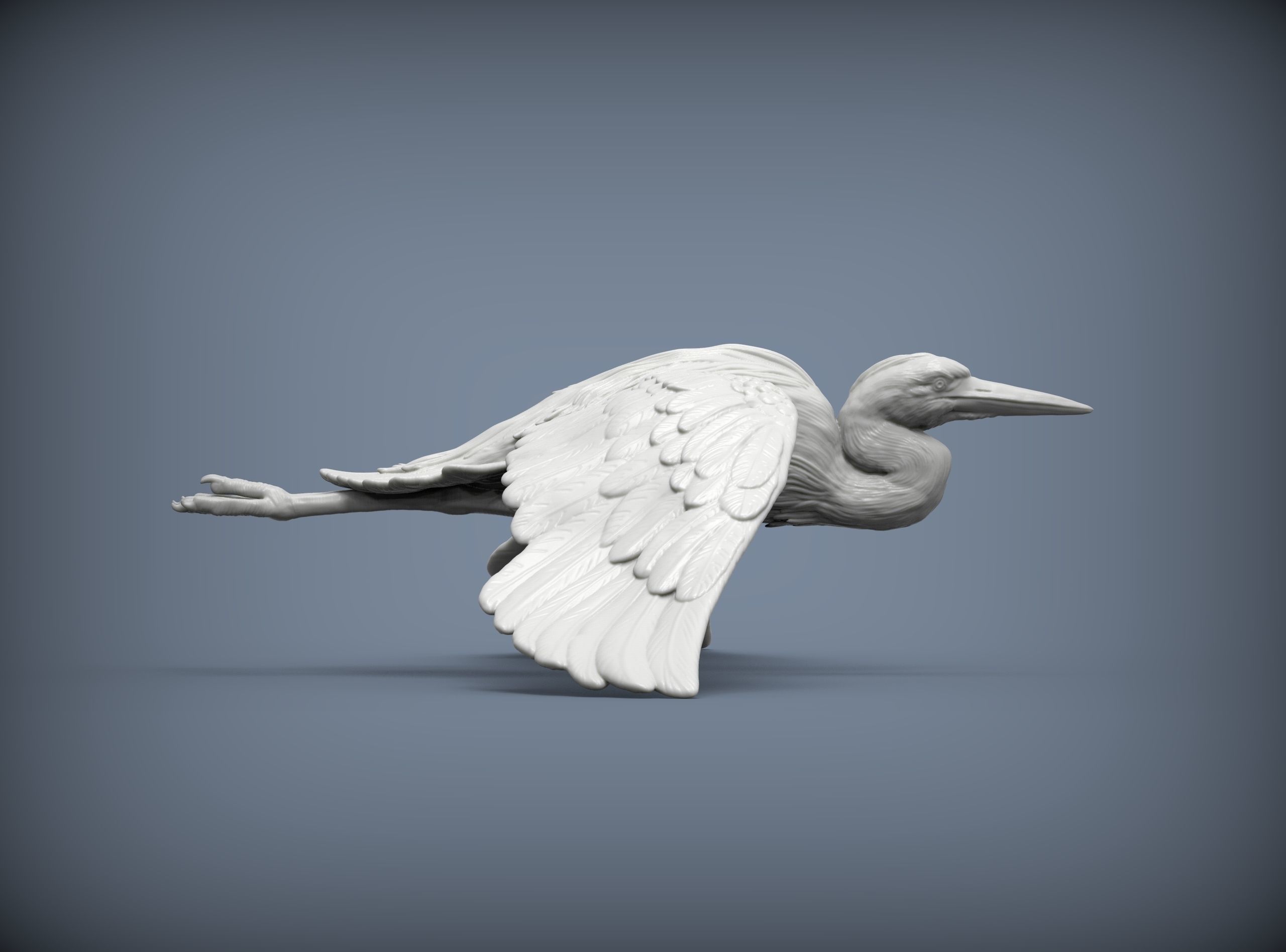 Heron flies 3D print model_4