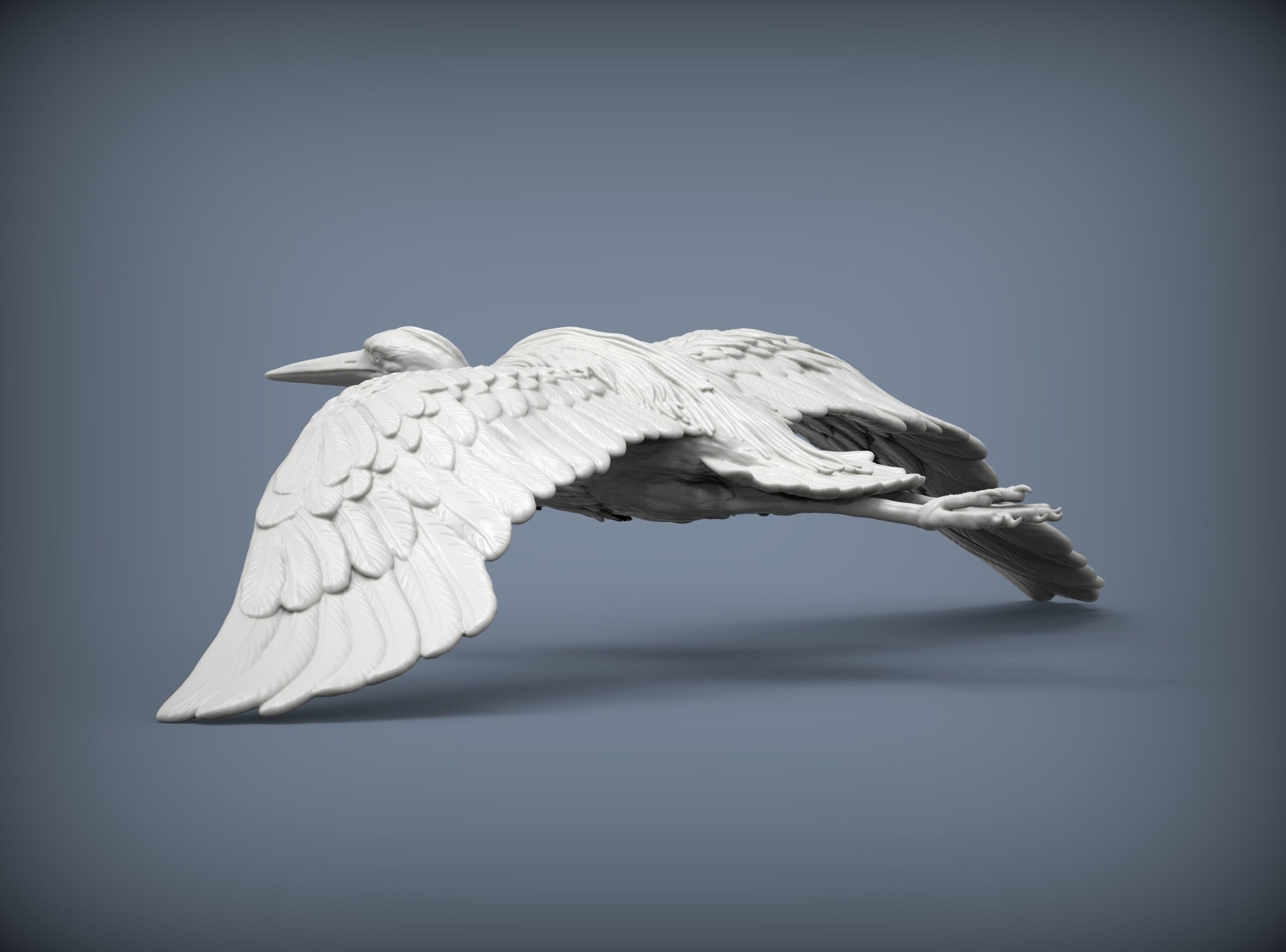 Heron flies 3D print model_5