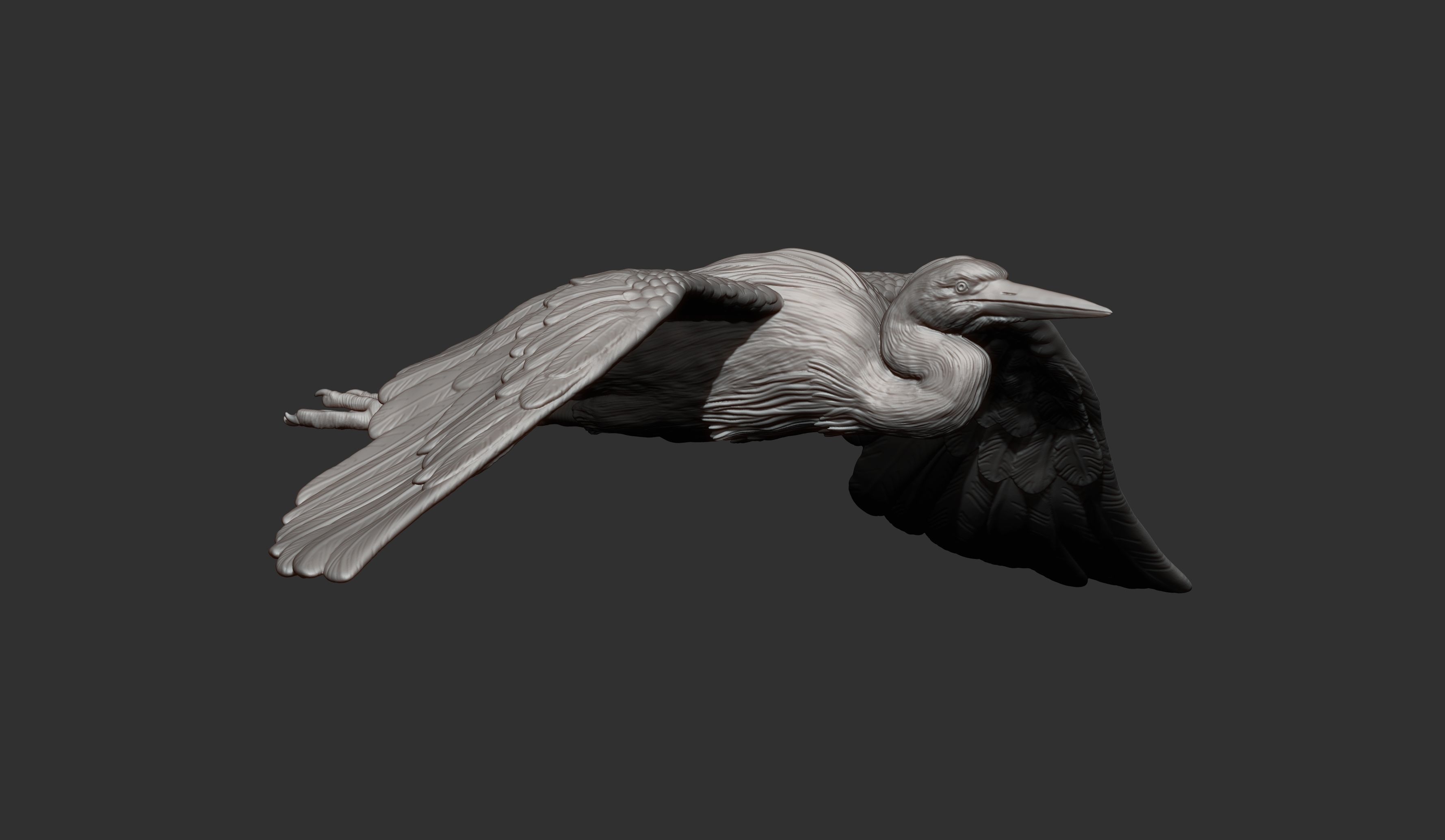 Heron flies 3D print model_6
