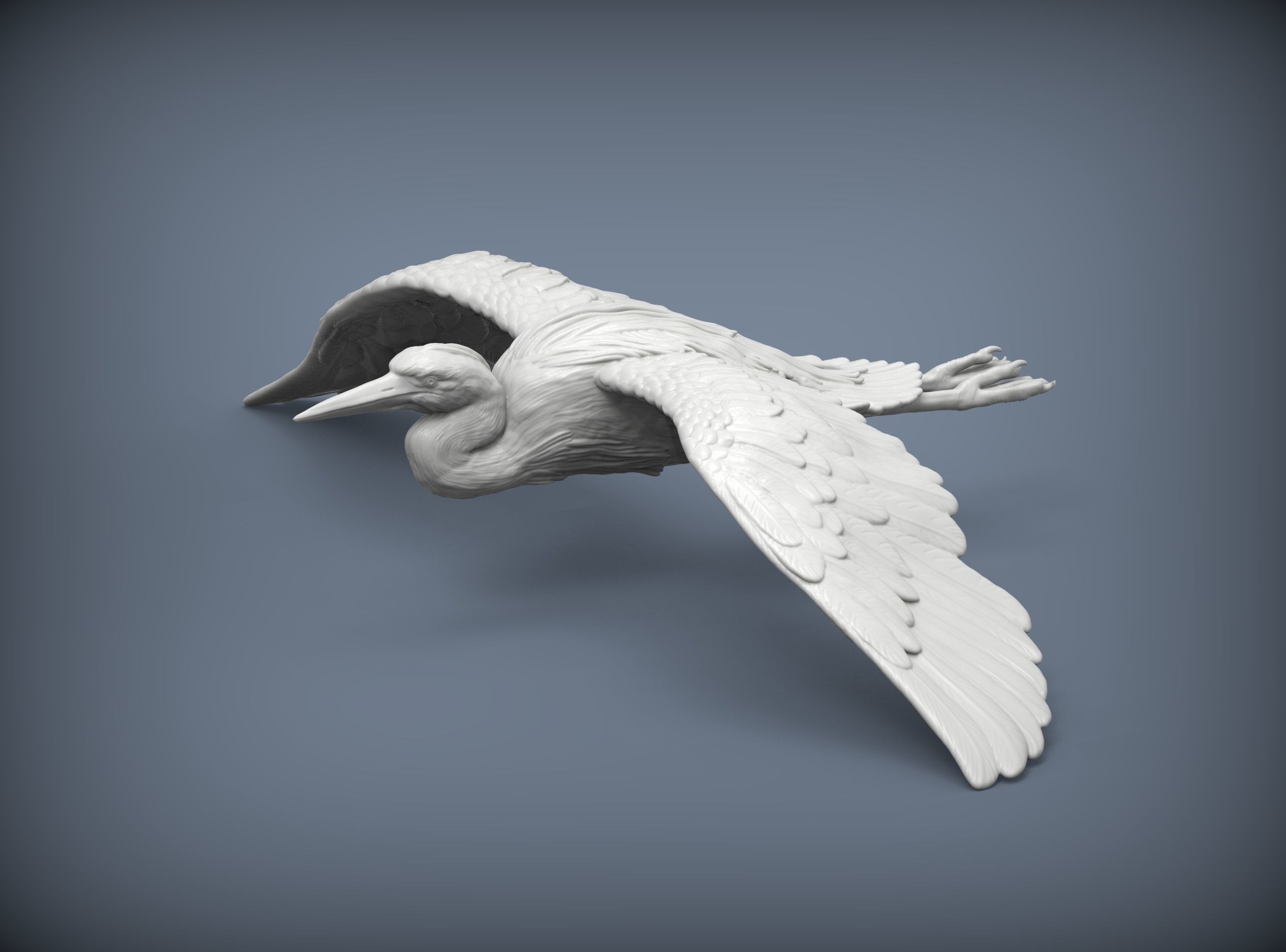 Heron flies 3D print model_3