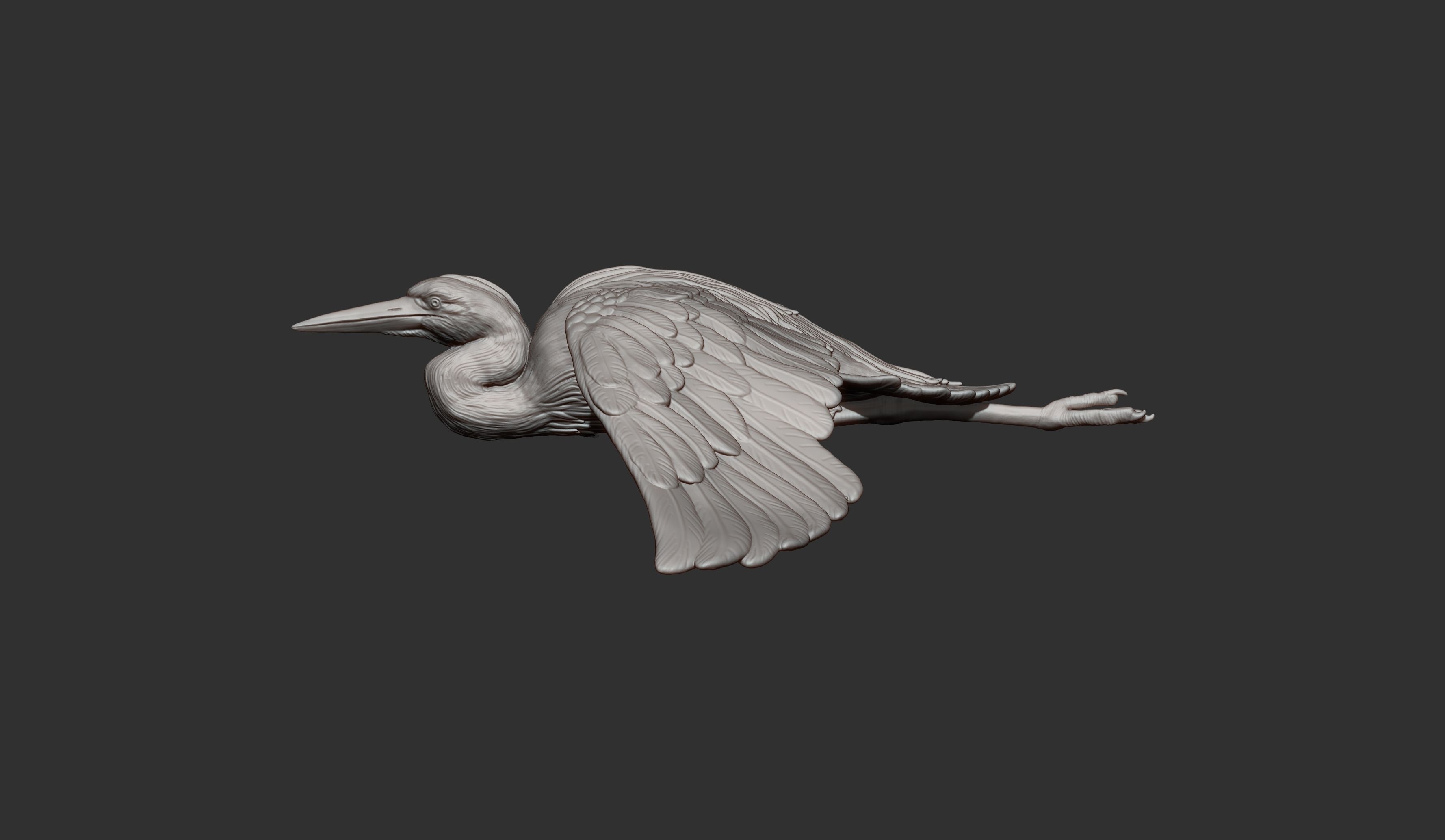 Heron flies 3D print model_7