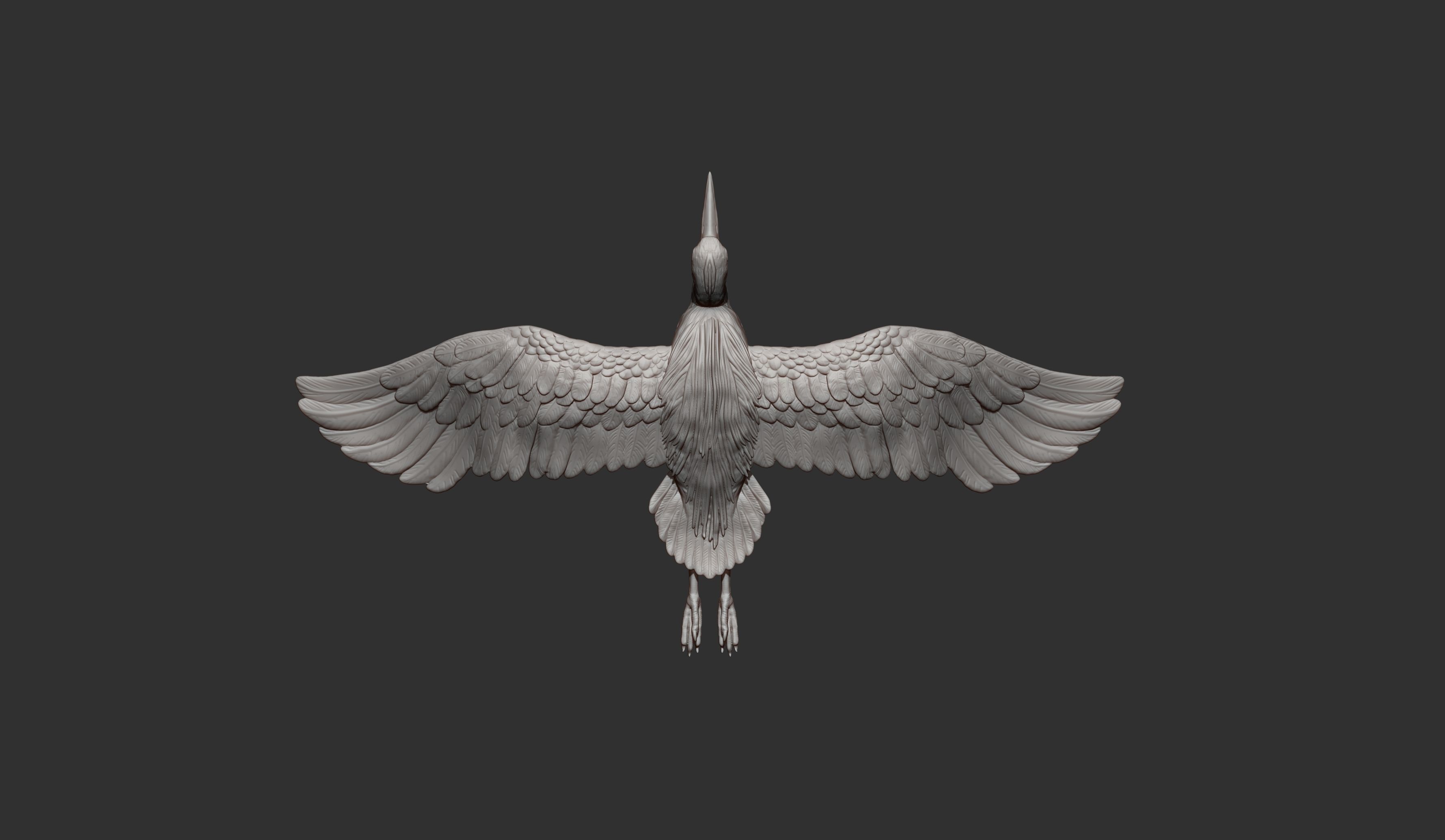 Heron flies 3D print model_10