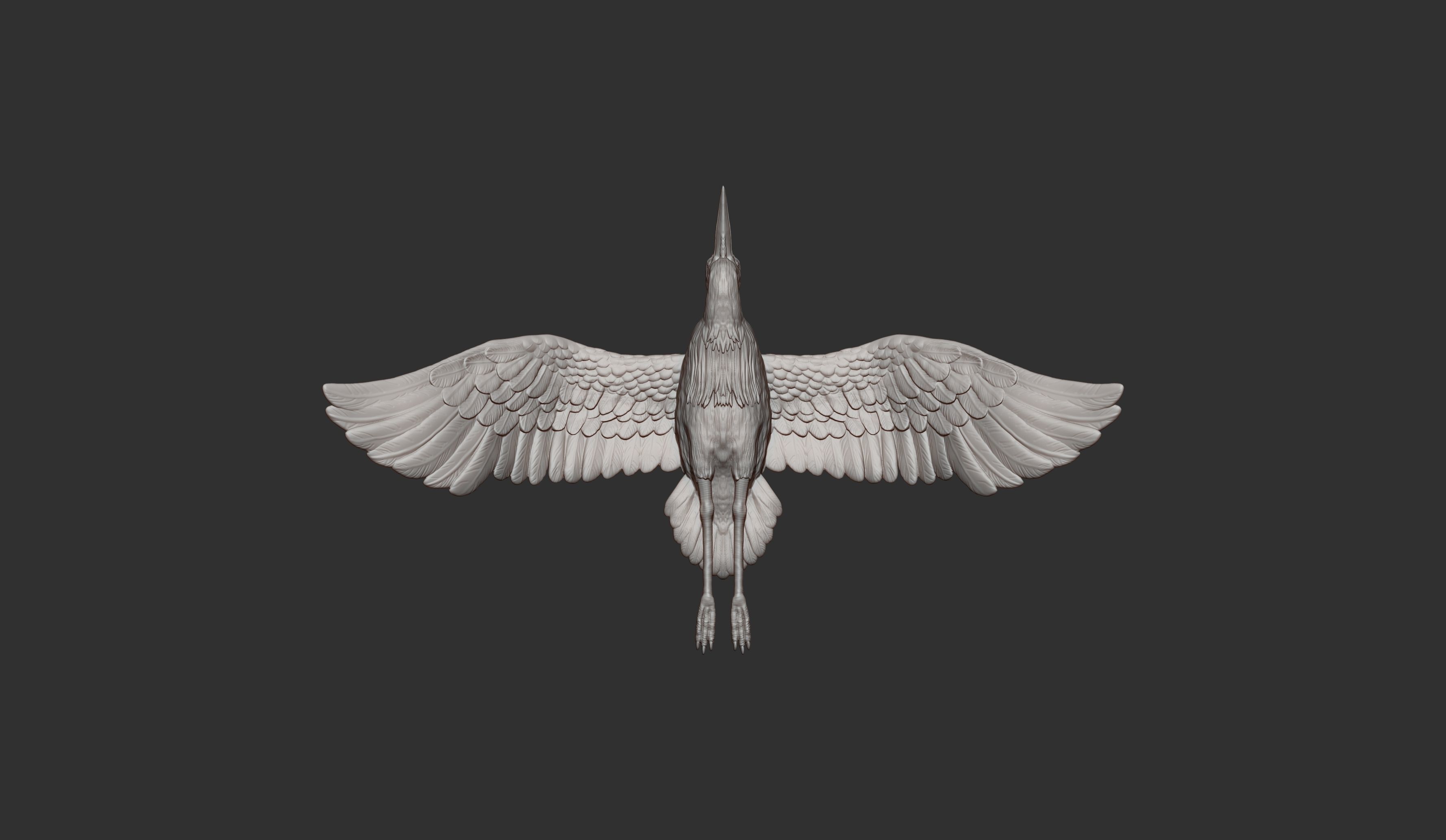 Heron flies 3D print model_8