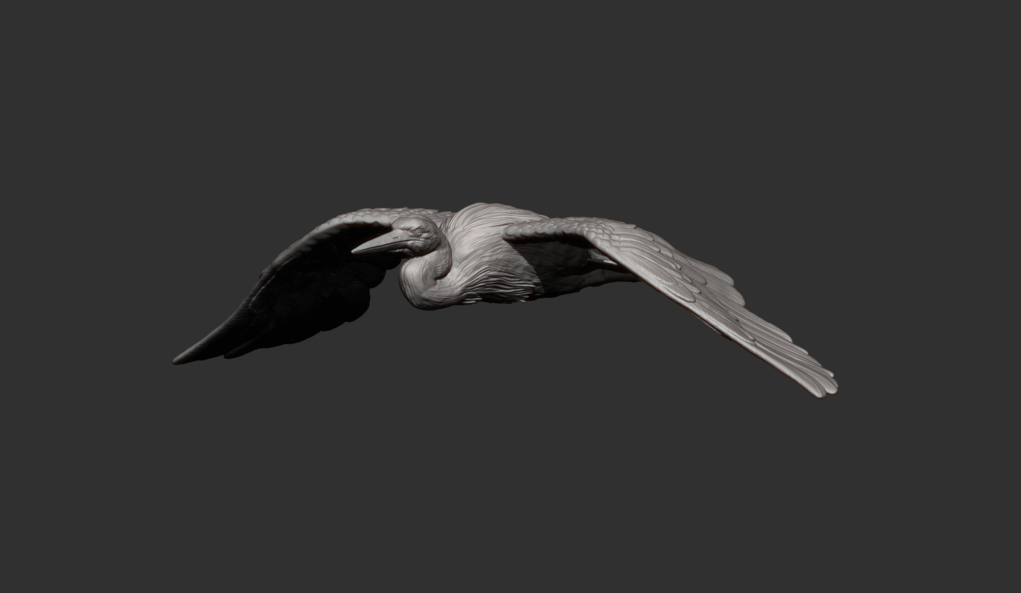Heron flies 3D print model_9