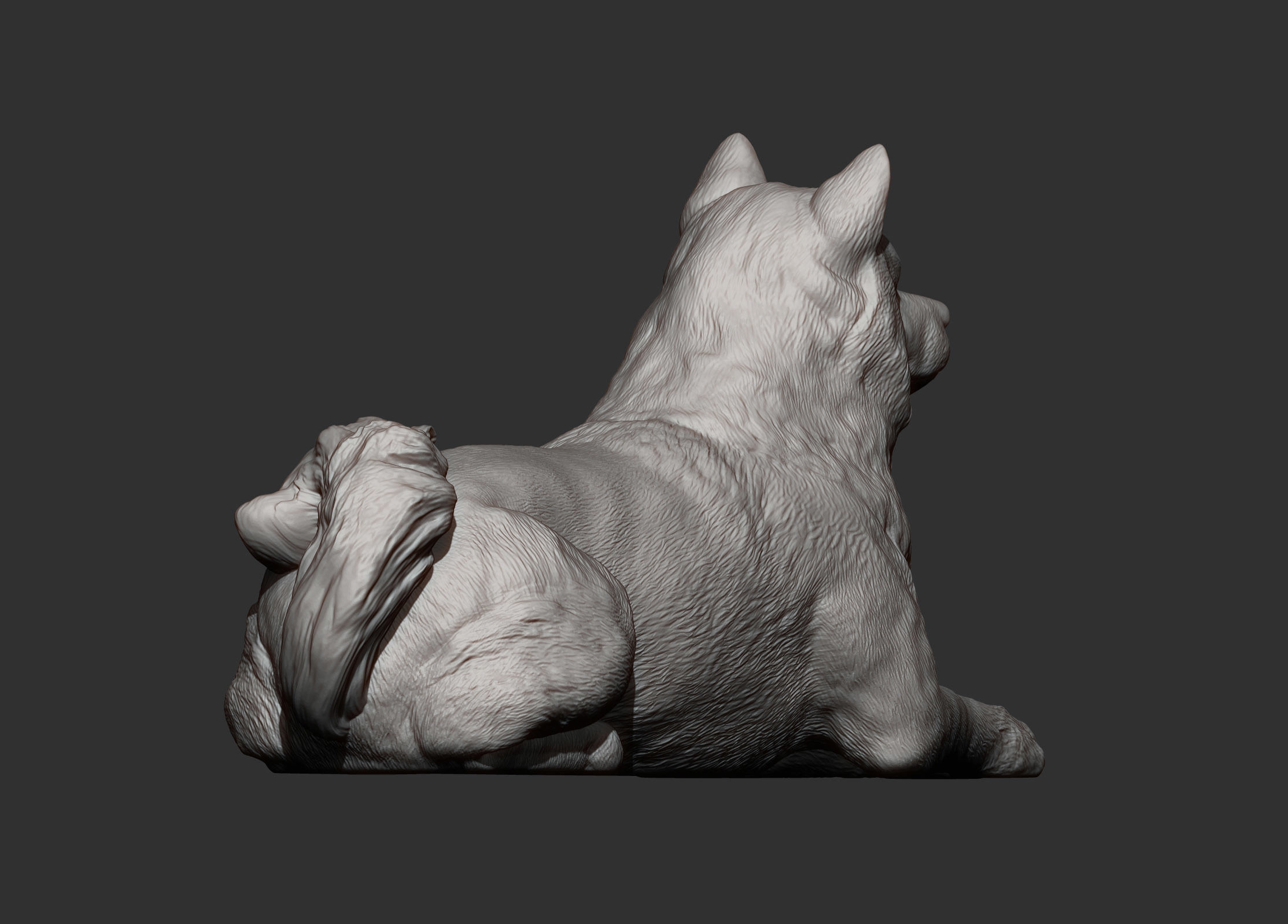 shiba inu 3D print model 3D print model_11