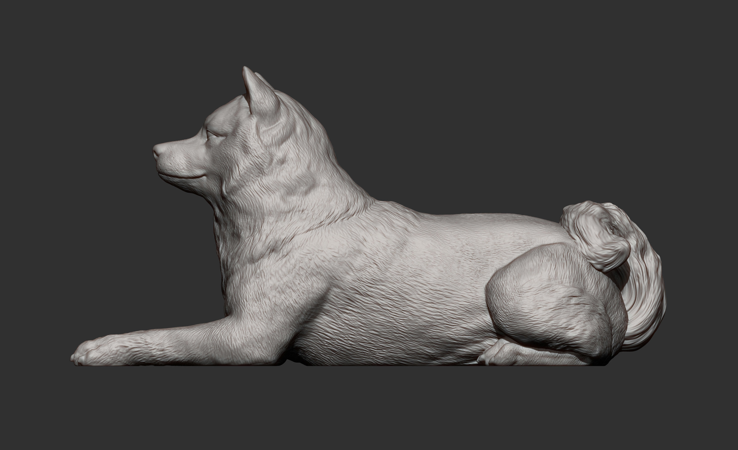 shiba inu 3D print model 3D print model_13