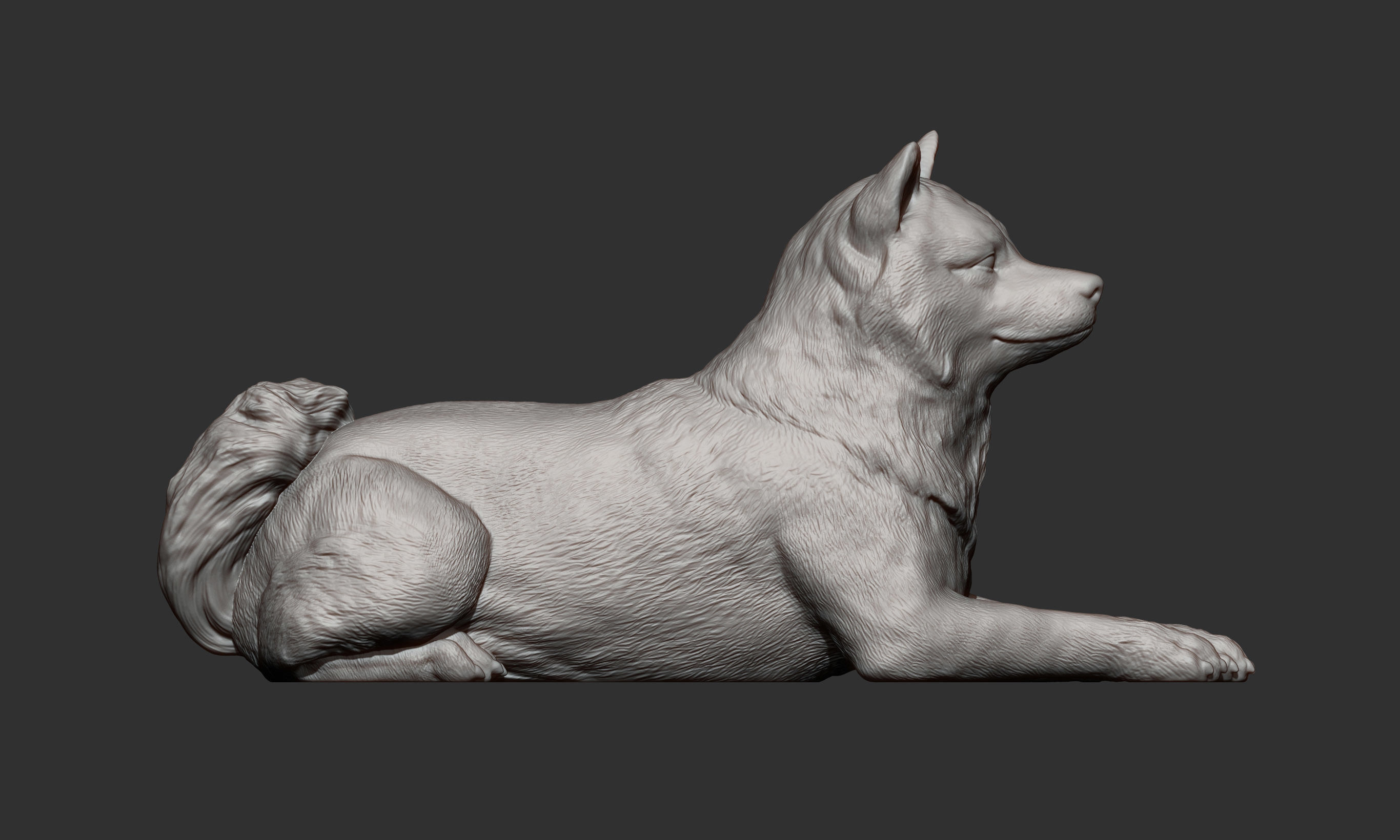 shiba inu 3D print model 3D print model_9