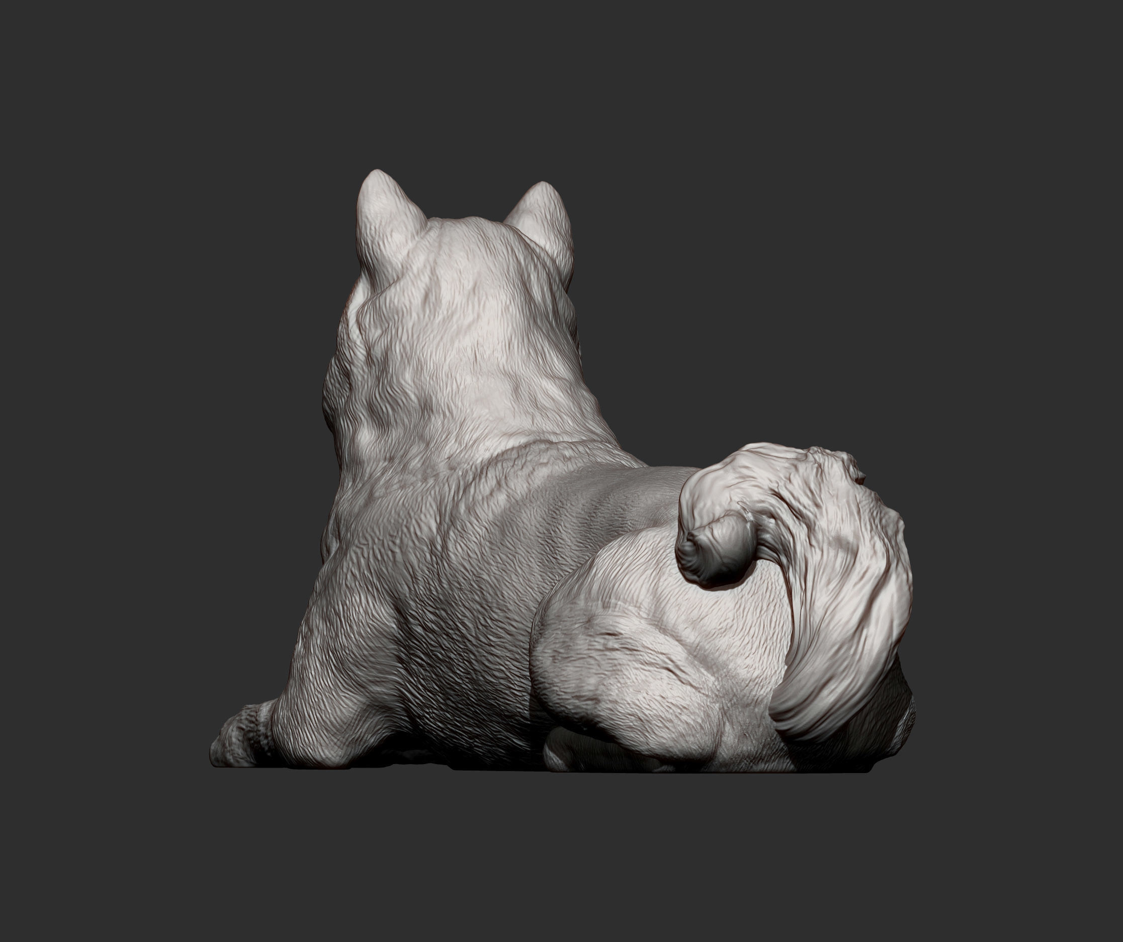 shiba inu 3D print model 3D print model_12