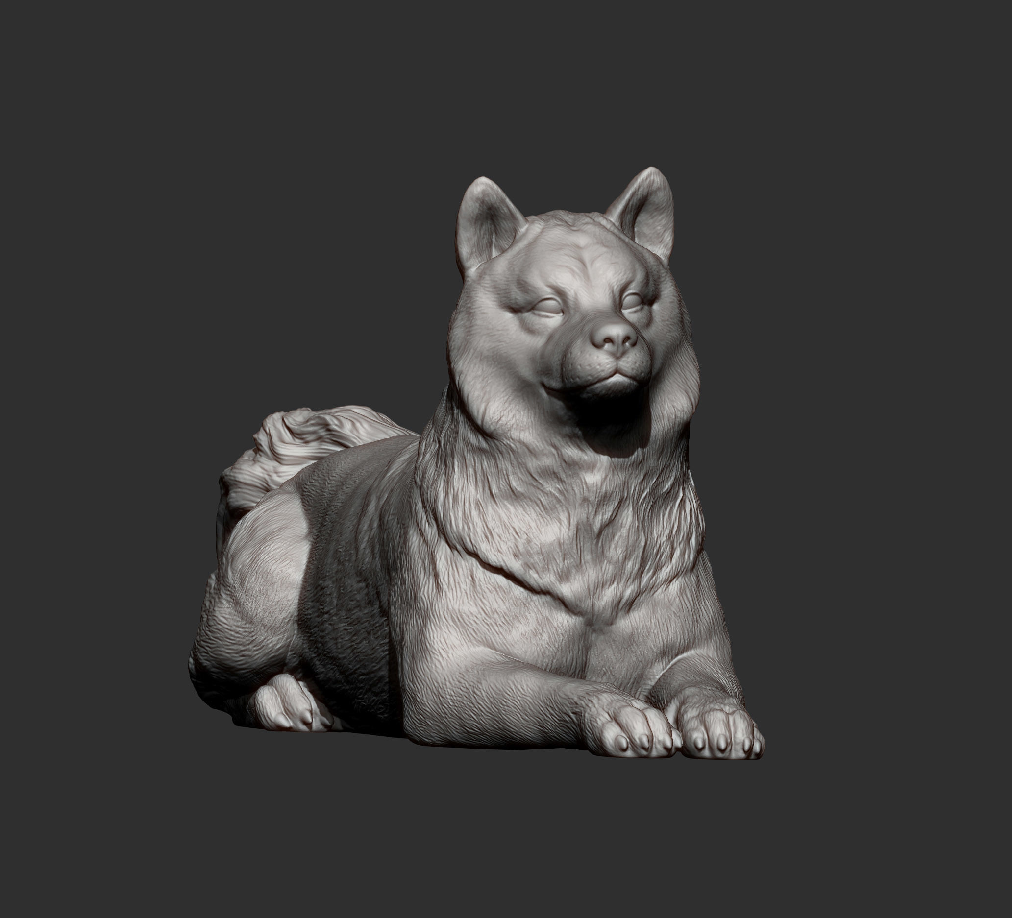 shiba inu 3D print model 3D print model_14