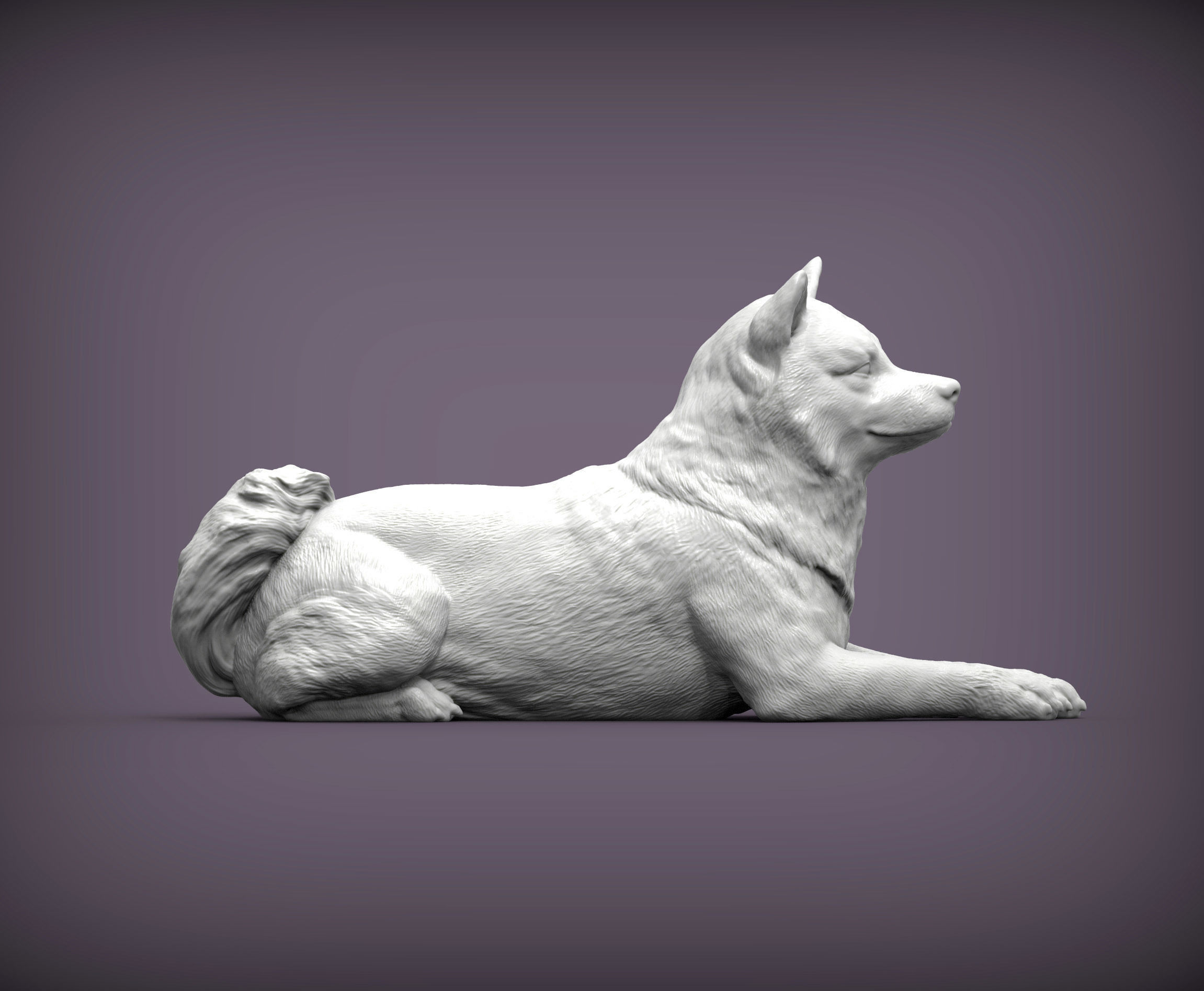 shiba inu 3D print model 3D print model_2
