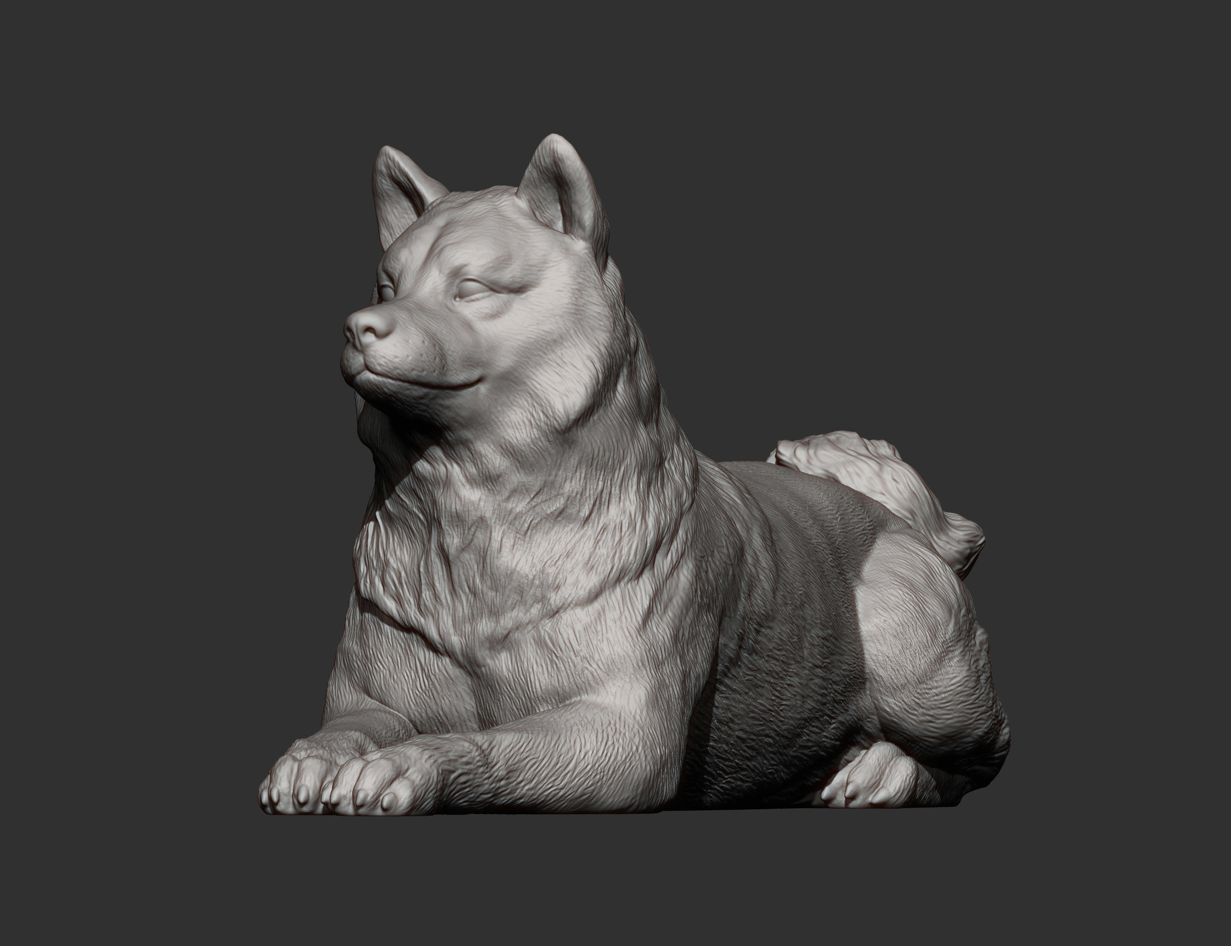 shiba inu 3D print model 3D print model_8
