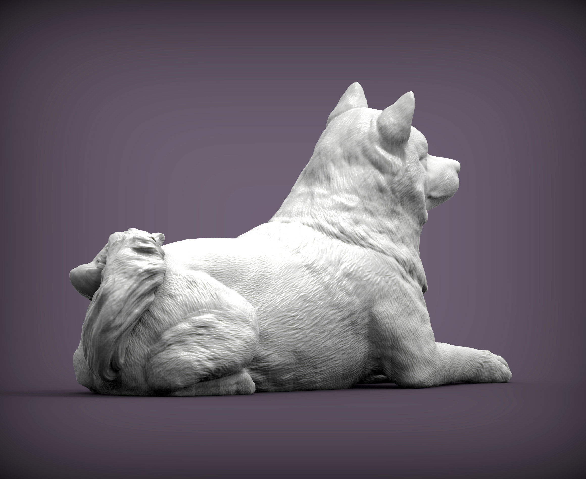 shiba inu 3D print model 3D print model_7