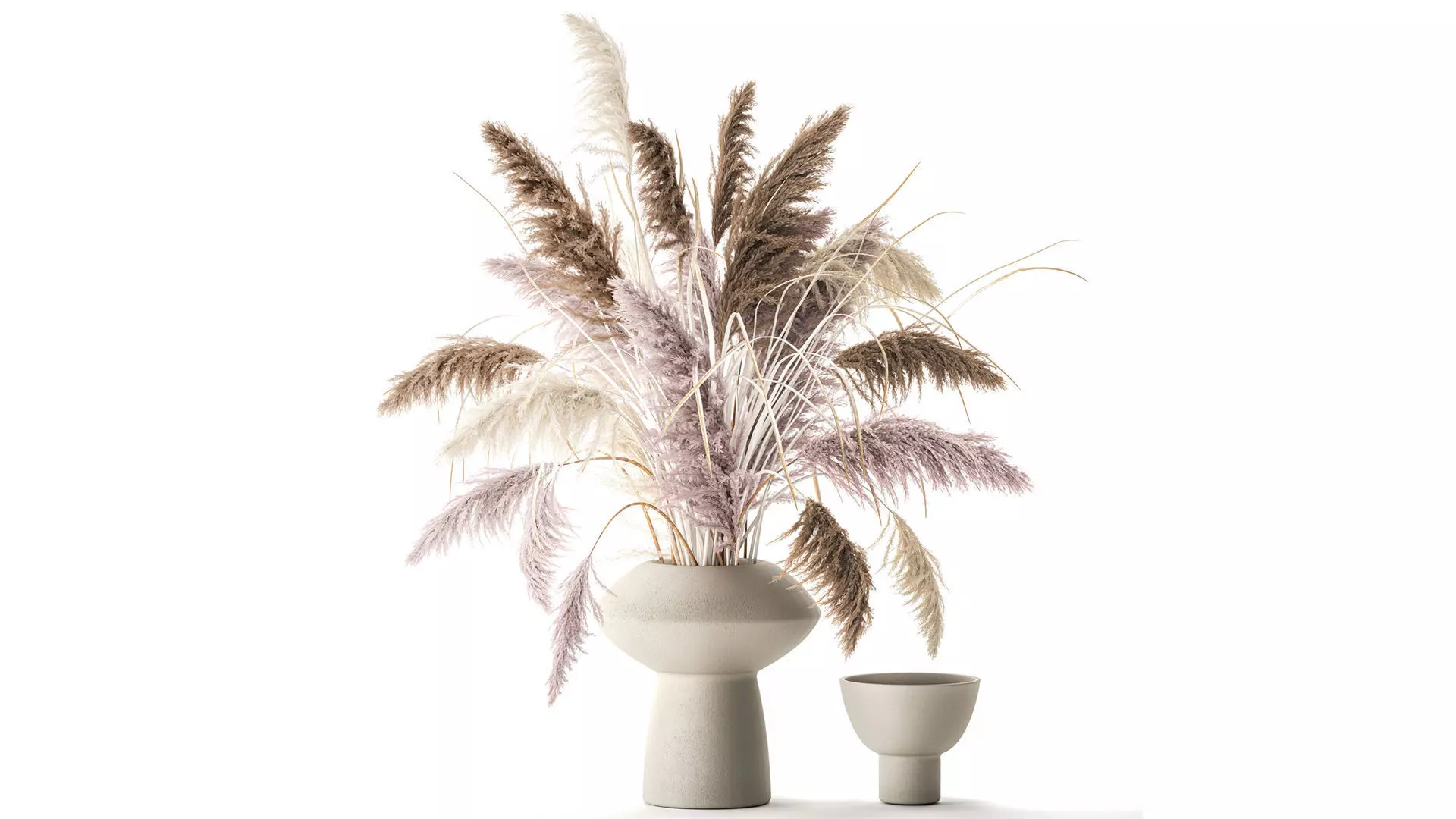 bouquet of dried flowers vase cortaderia white pampas 338 3D model