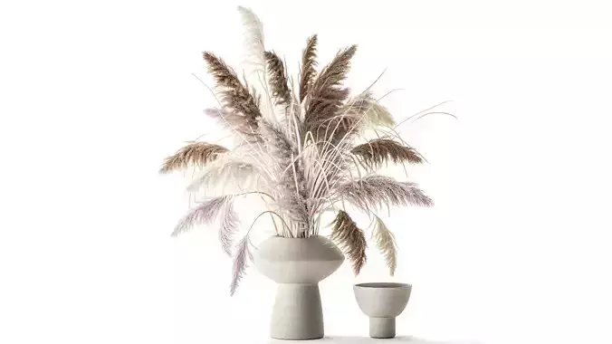 bouquet of dried flowers vase cortaderia white pampas 338