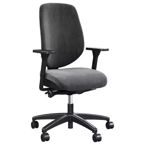 Bakkerelkhuizen Giroflex 353