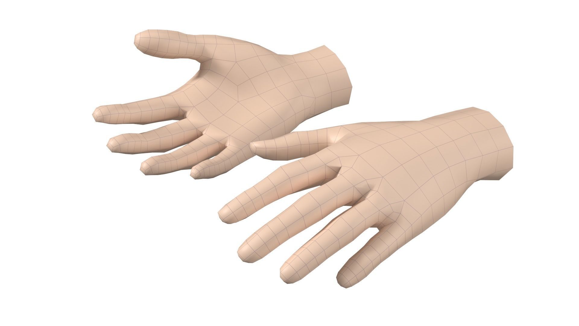 Female Hand Base Mesh 08 3D model_12