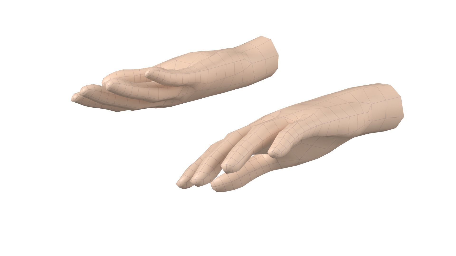 Female Hand Base Mesh 08 3D model_10