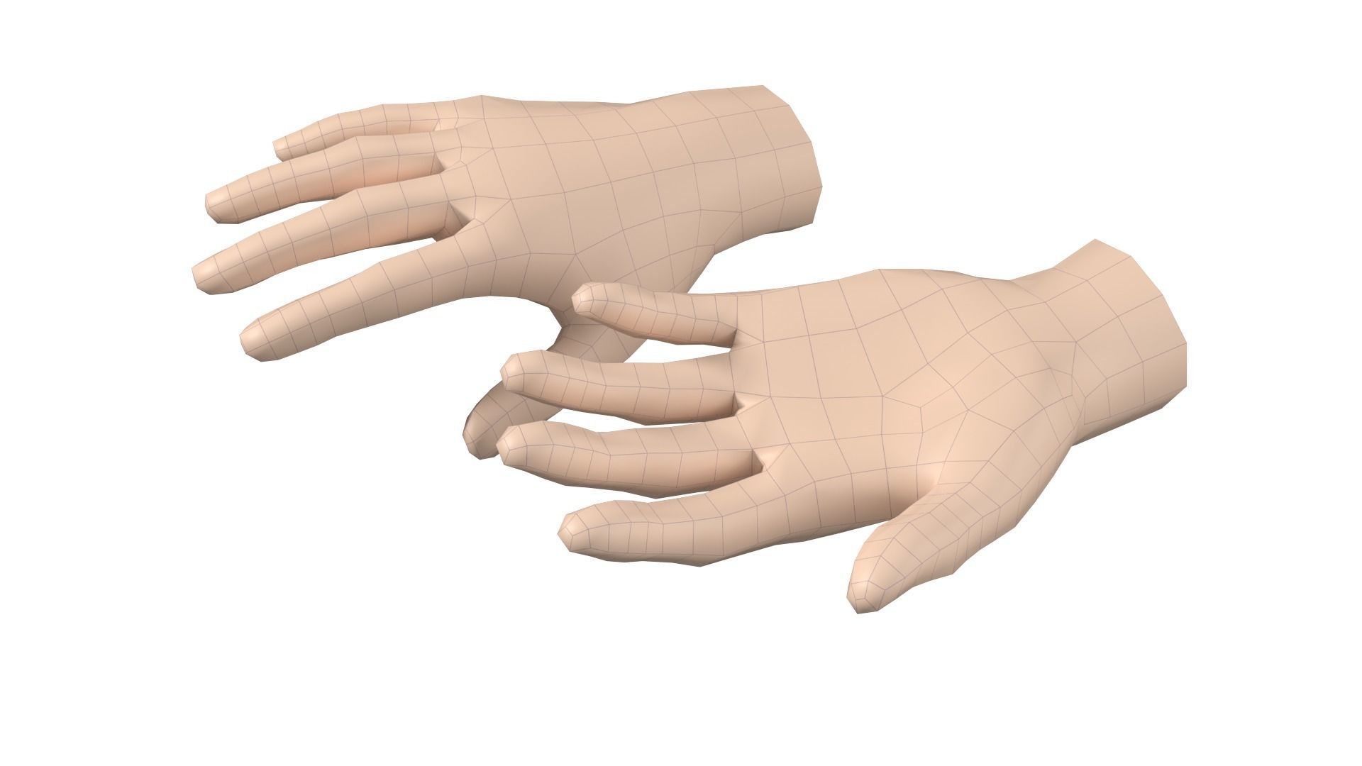 Female Hand Base Mesh 08 3D model_6