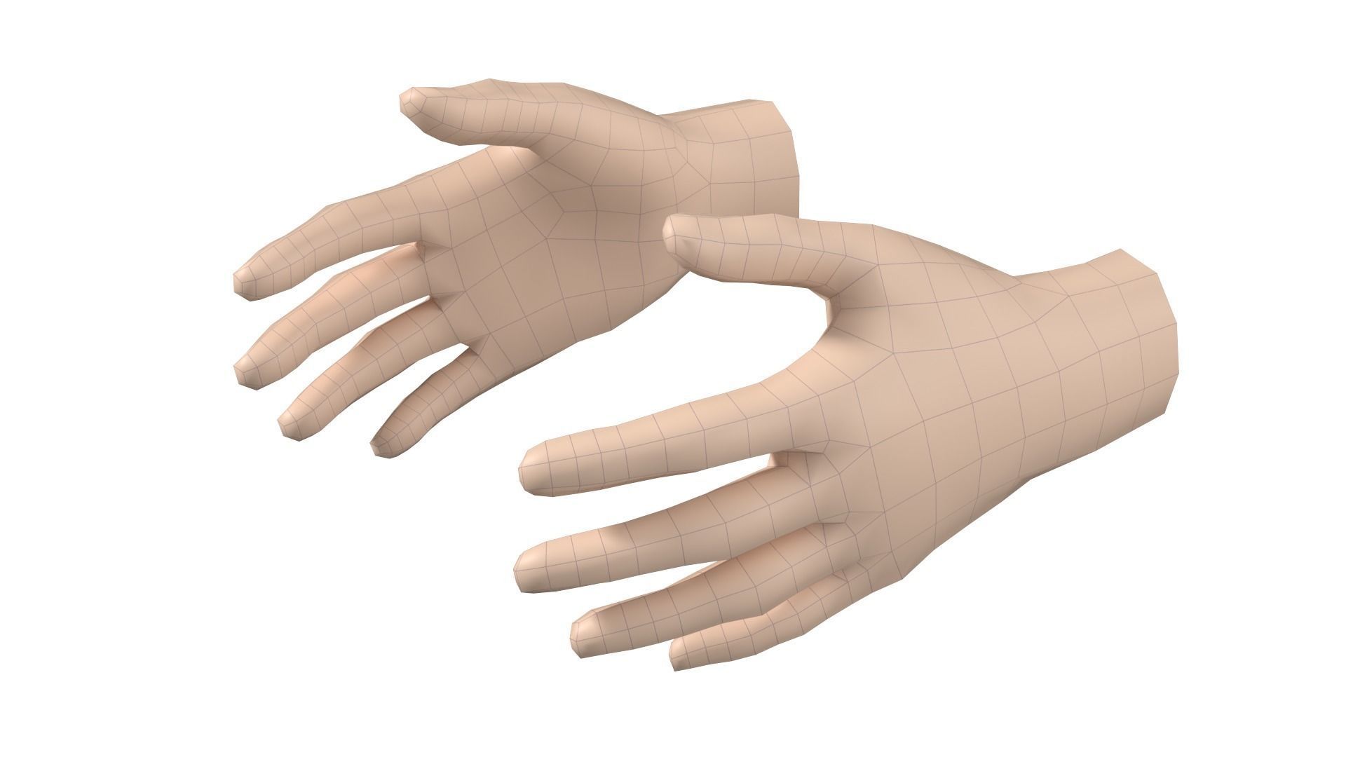 Female Hand Base Mesh 08 3D model_2