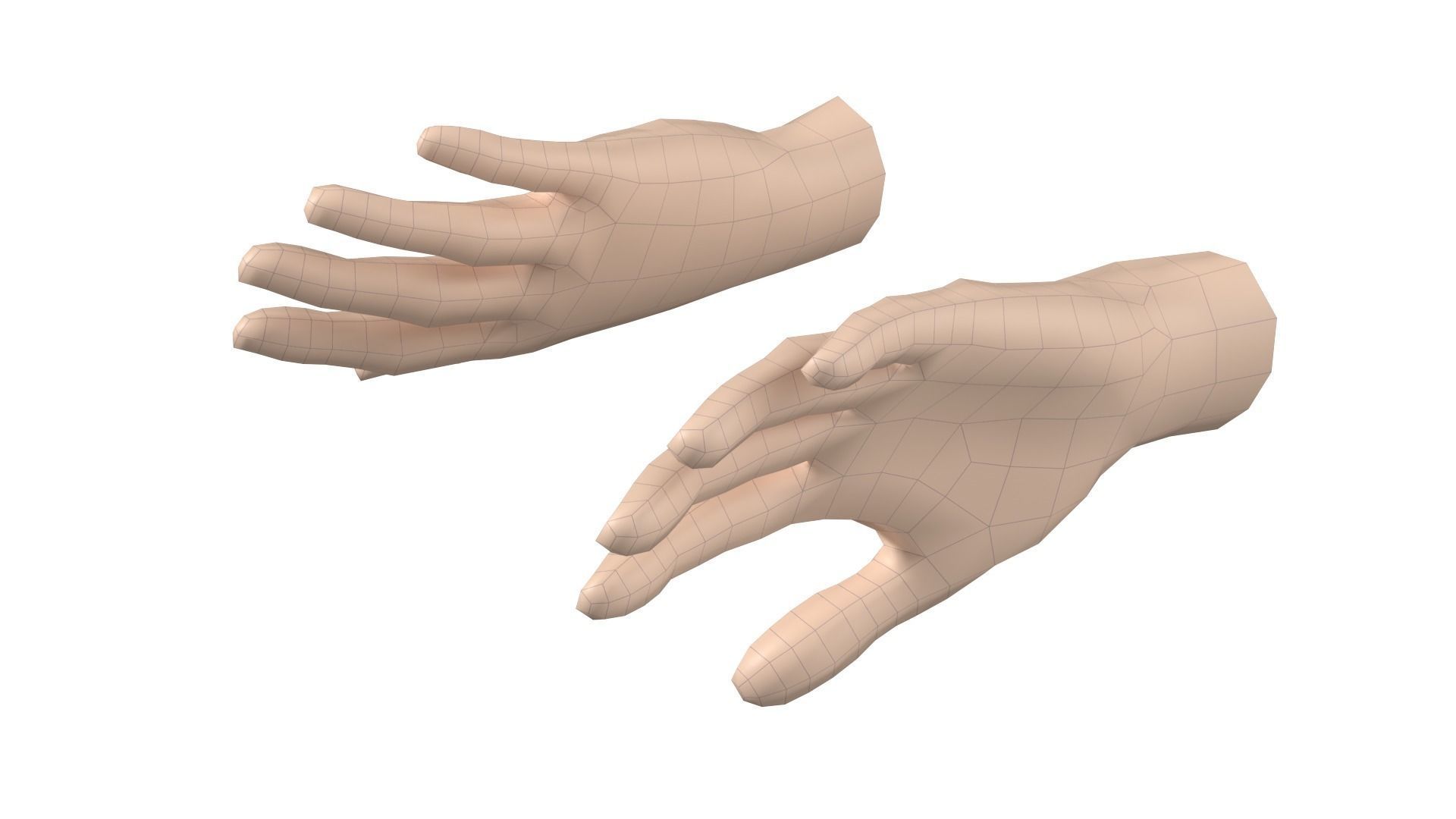 Female Hand Base Mesh 08 3D model_9