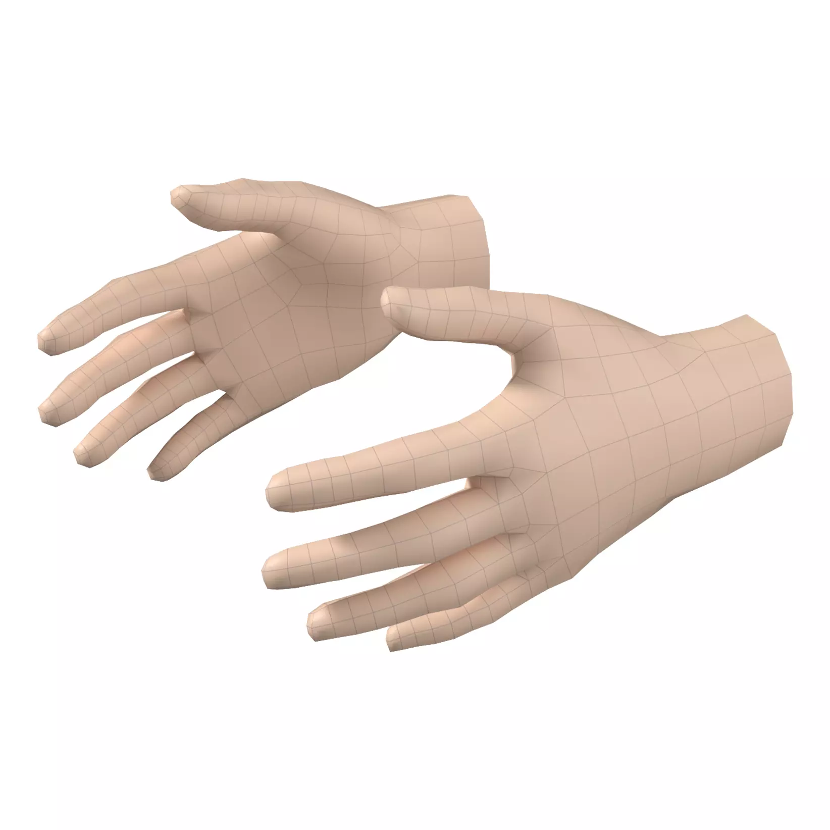 Female Hand Base Mesh 08 3D model_0
