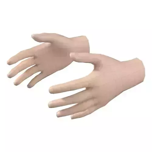 Female Hand Base Mesh 08 3D model