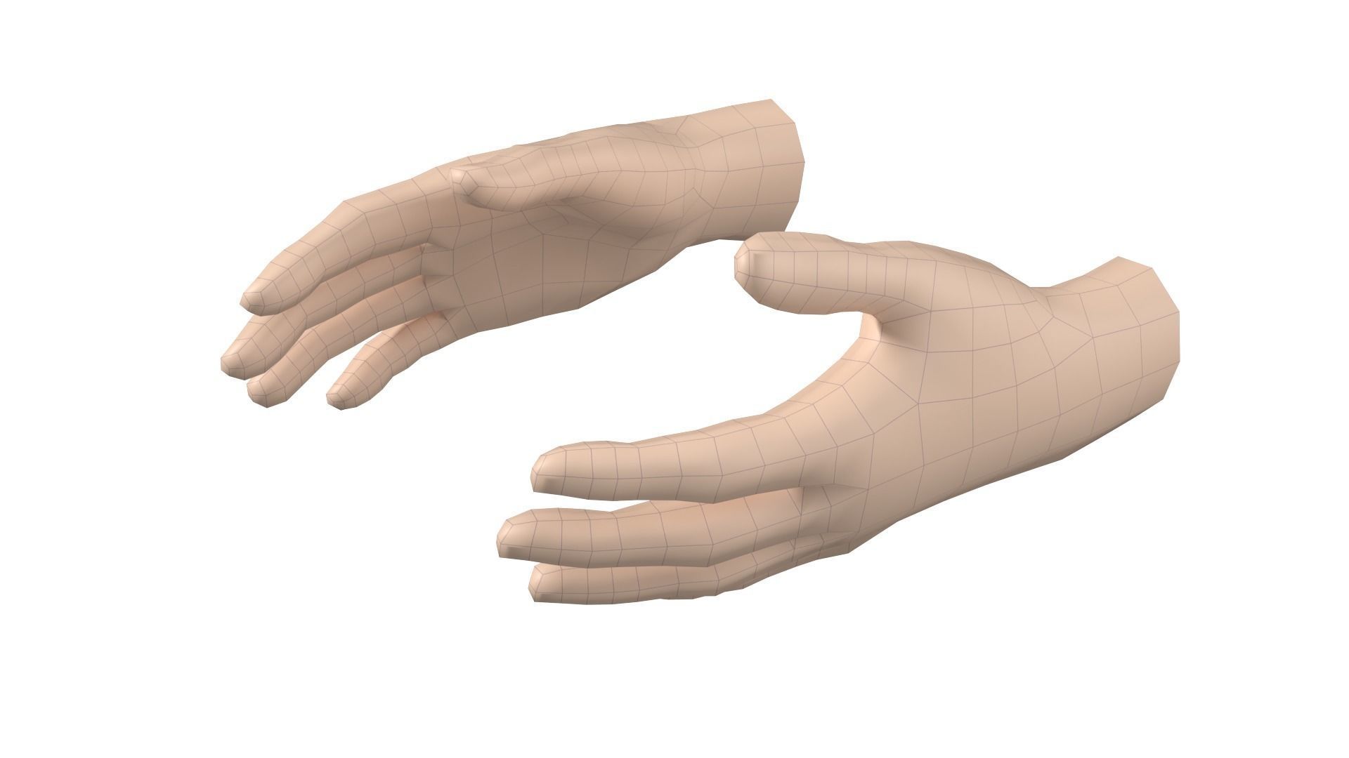 Female Hand Base Mesh 08 3D model_3