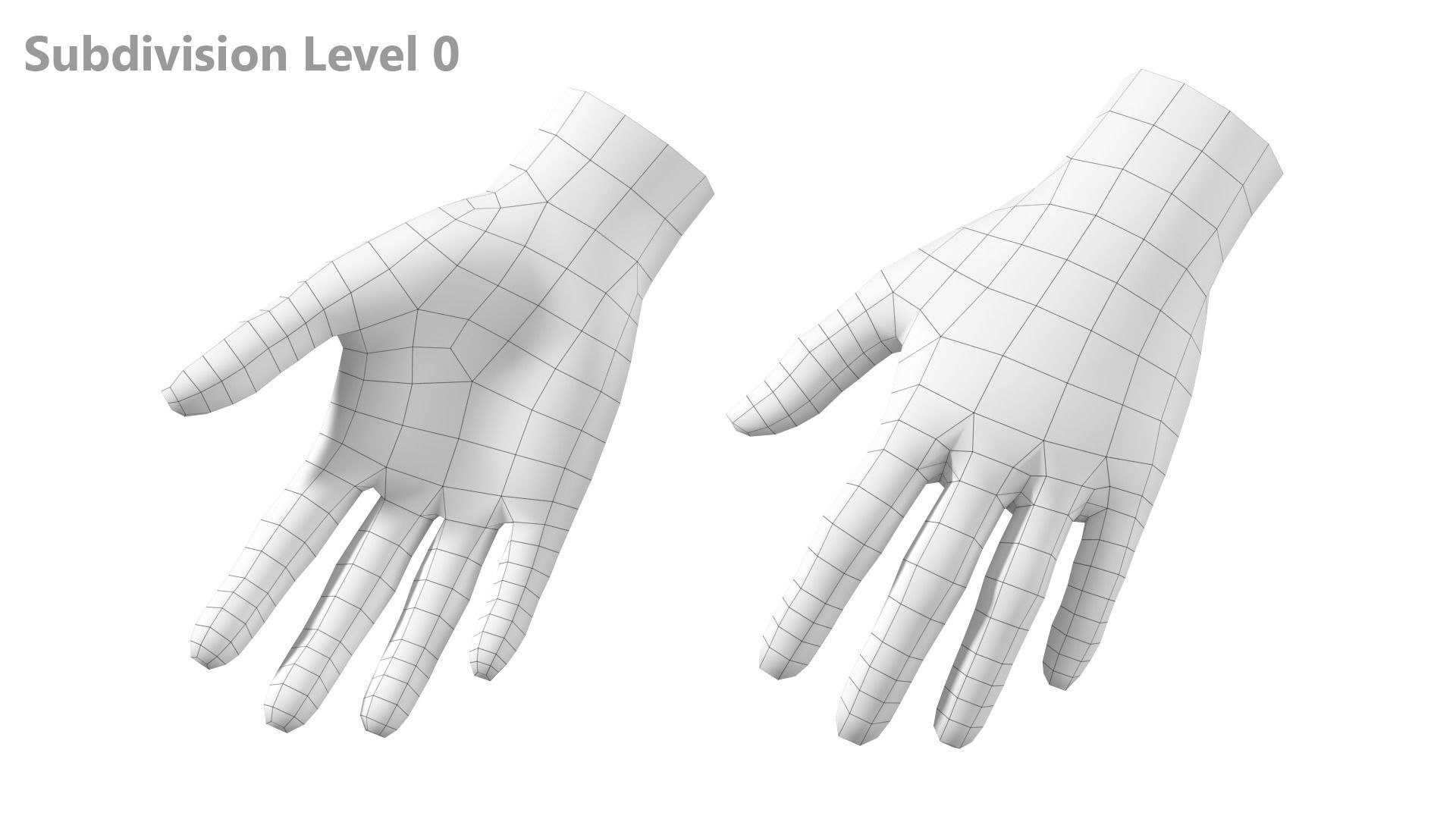 Female Hand Base Mesh 08 3D model_14