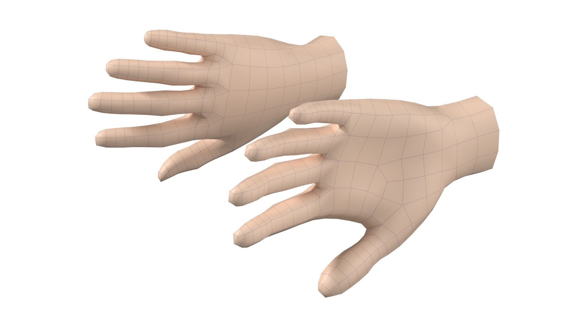 Female Hand Base Mesh 08 3D model_8