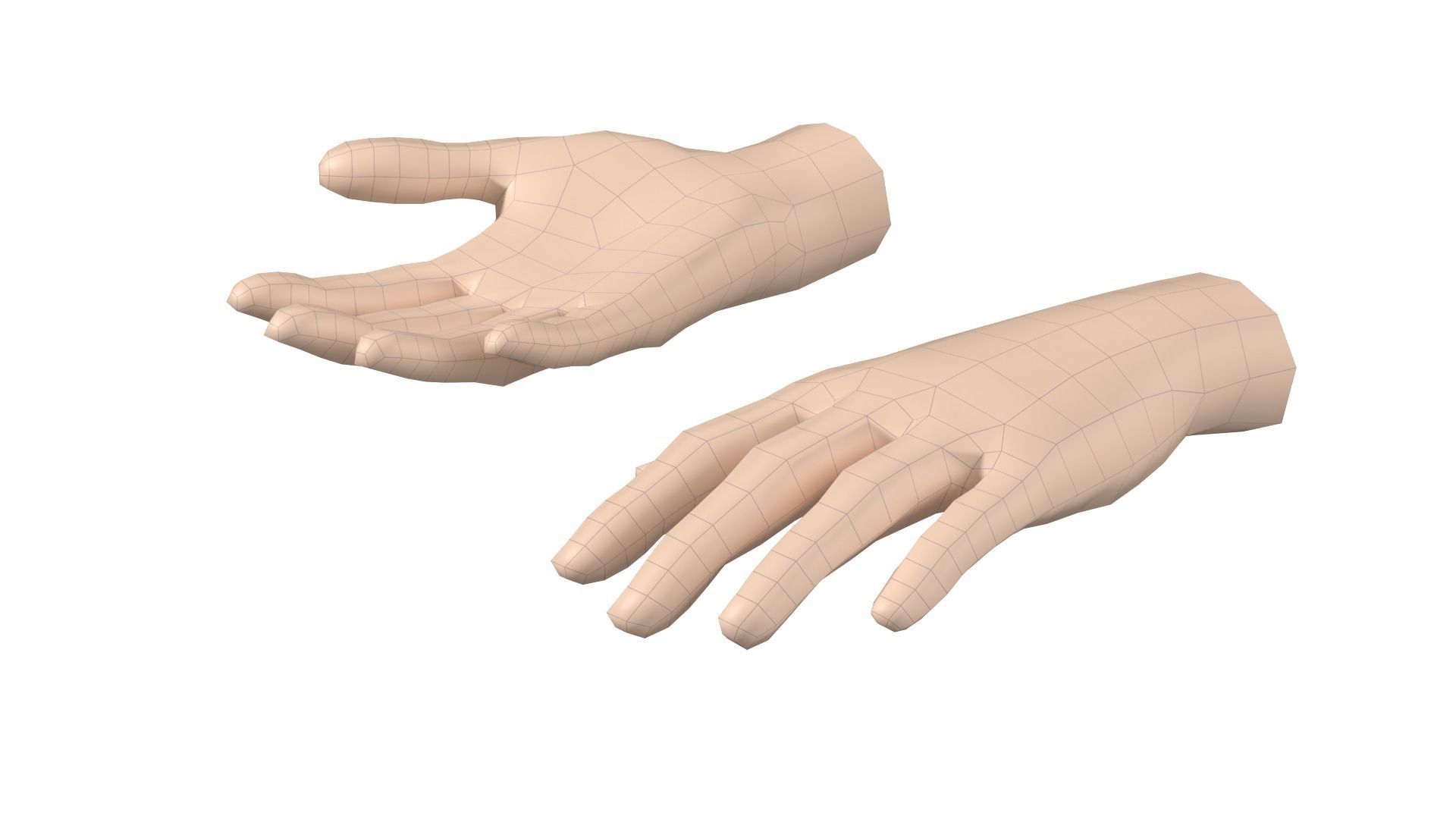 Female Hand Base Mesh 08 3D model_11