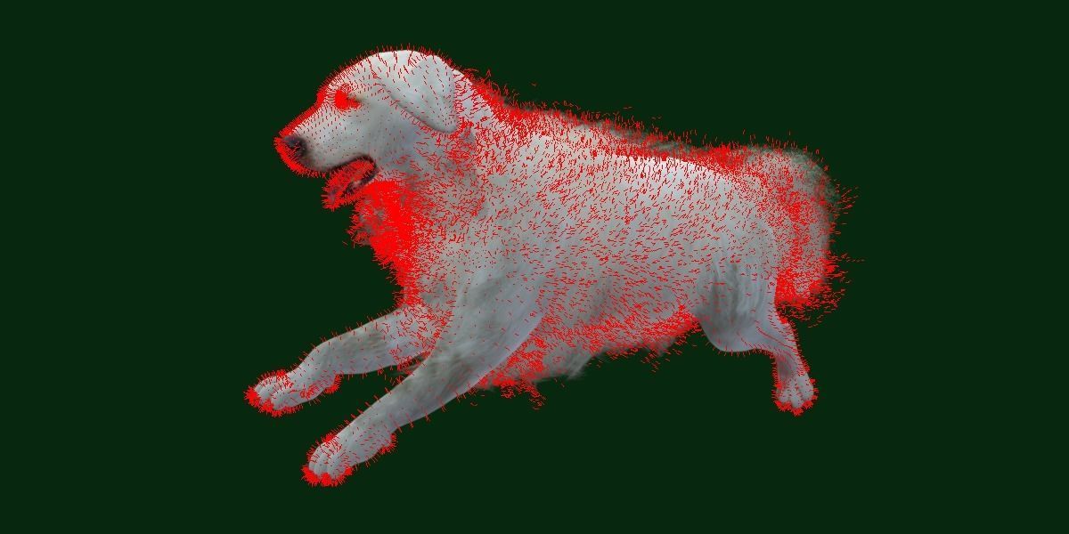 Great Pyrenees Patou Dog 3D model_9