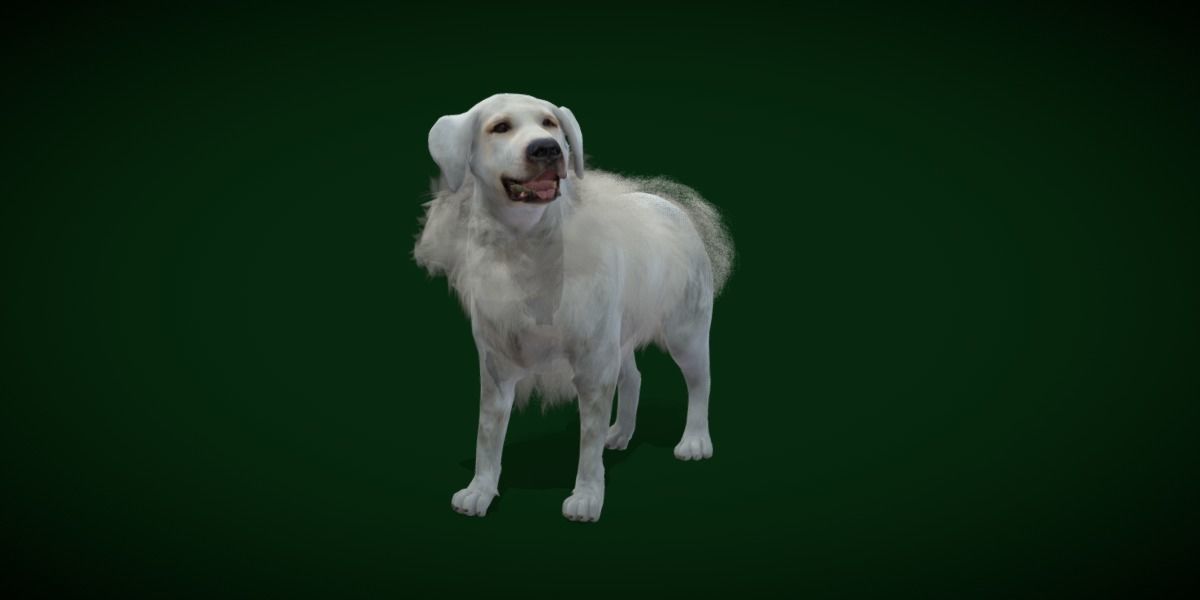 Great Pyrenees Patou Dog 3D model_5