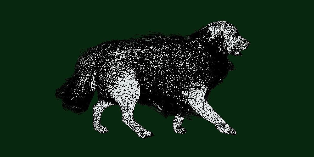 Great Pyrenees Patou Dog 3D model_8