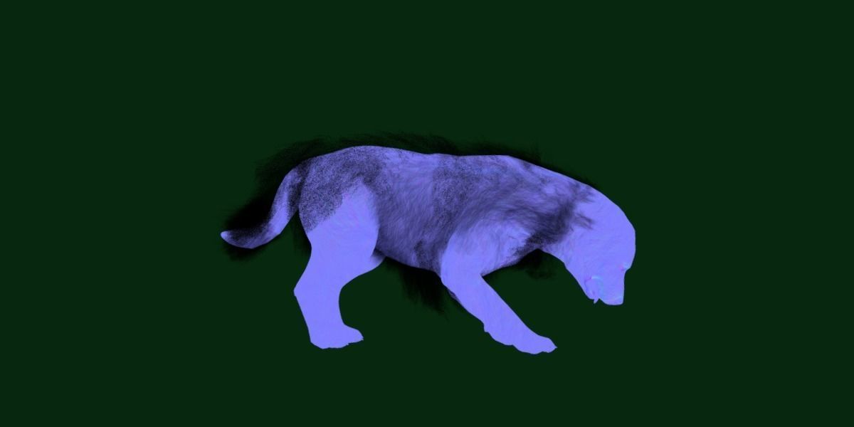 Great Pyrenees Patou Dog 3D model_18