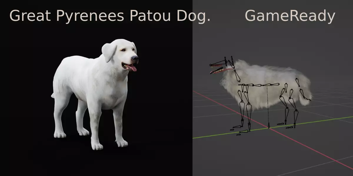 Great Pyrenees Patou Dog 3D model_0