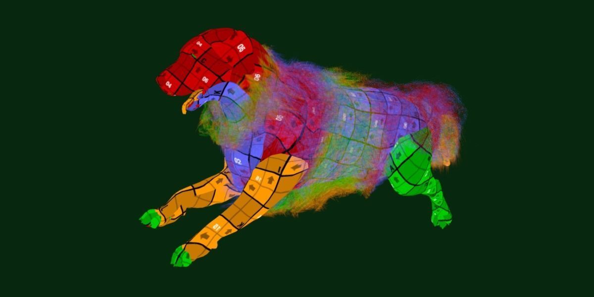 Great Pyrenees Patou Dog 3D model_10