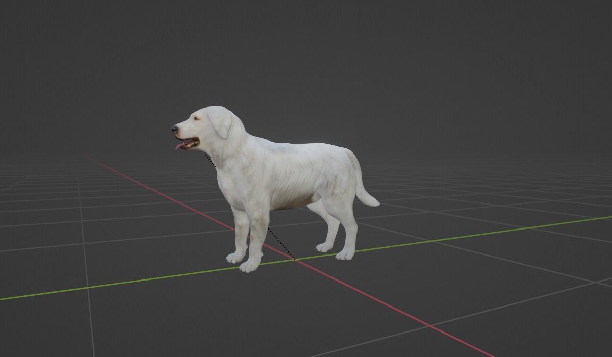 Great Pyrenees Patou Dog 3D model_4