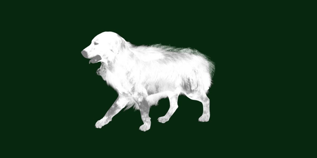 Great Pyrenees Patou Dog 3D model_19