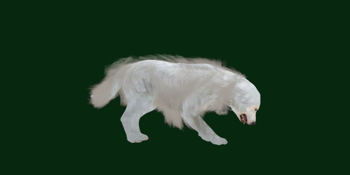 Great Pyrenees Patou Dog 3D model_16