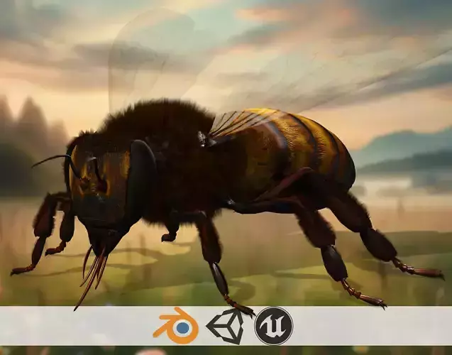 Honey Navigator Realistic Bee Low-poly 3D model