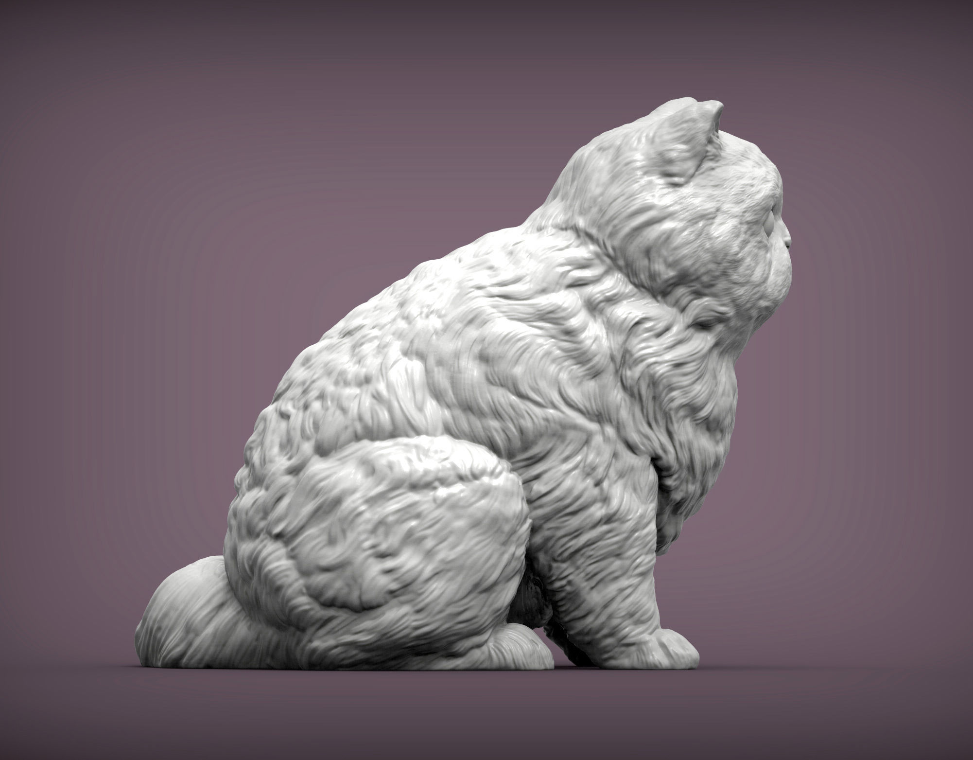 Persian cat sitting 3D print model_3