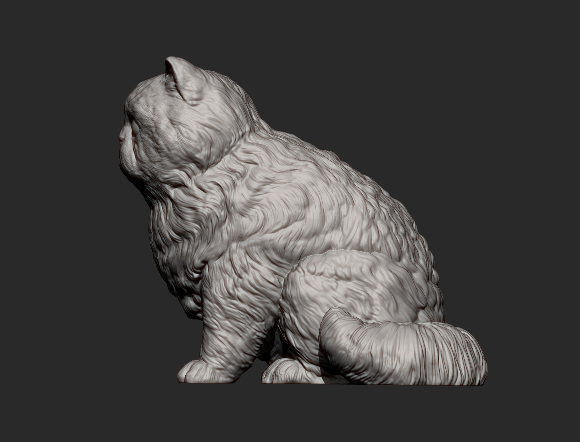 Persian cat sitting 3D print model_13
