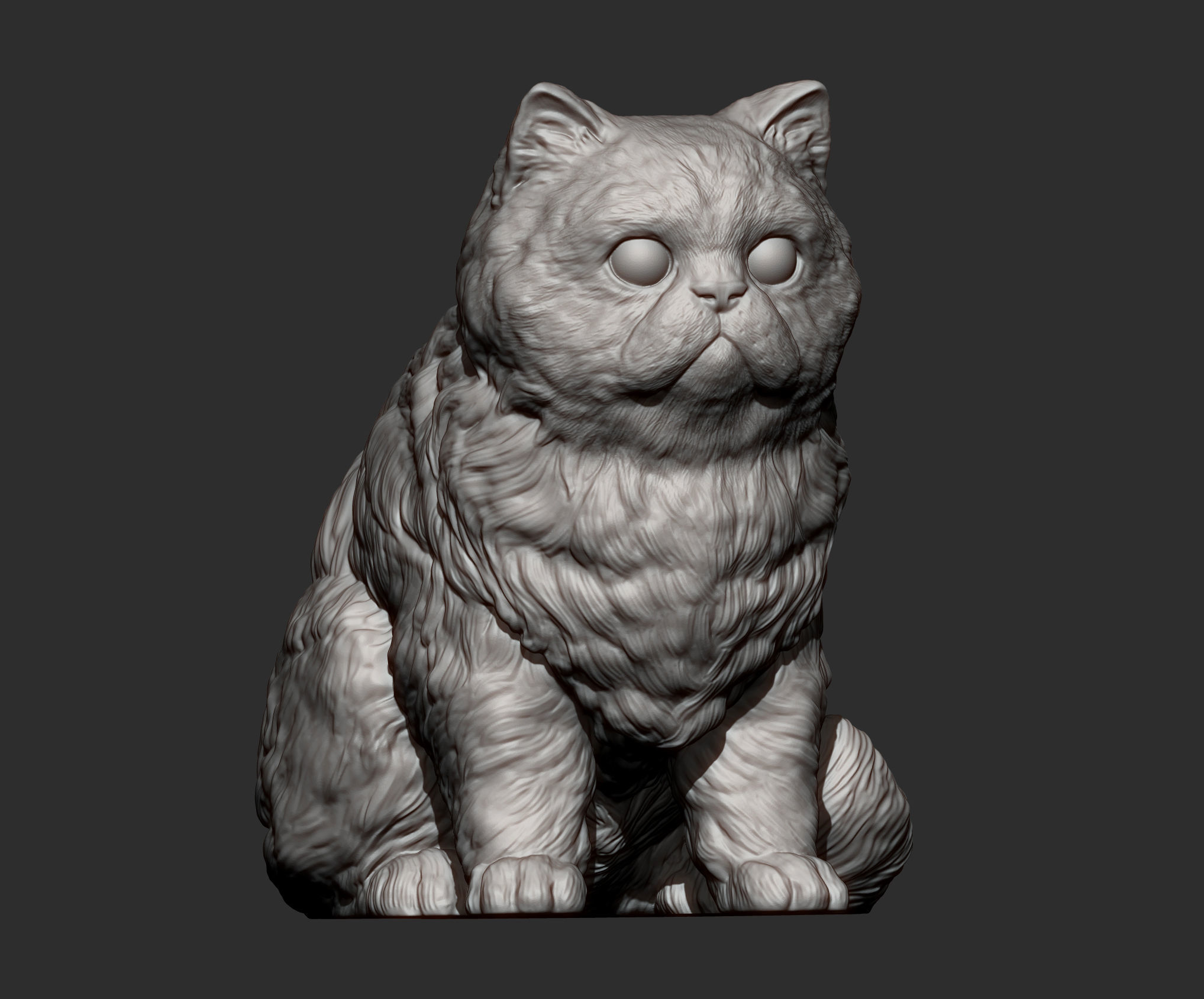 Persian cat sitting 3D print model_11