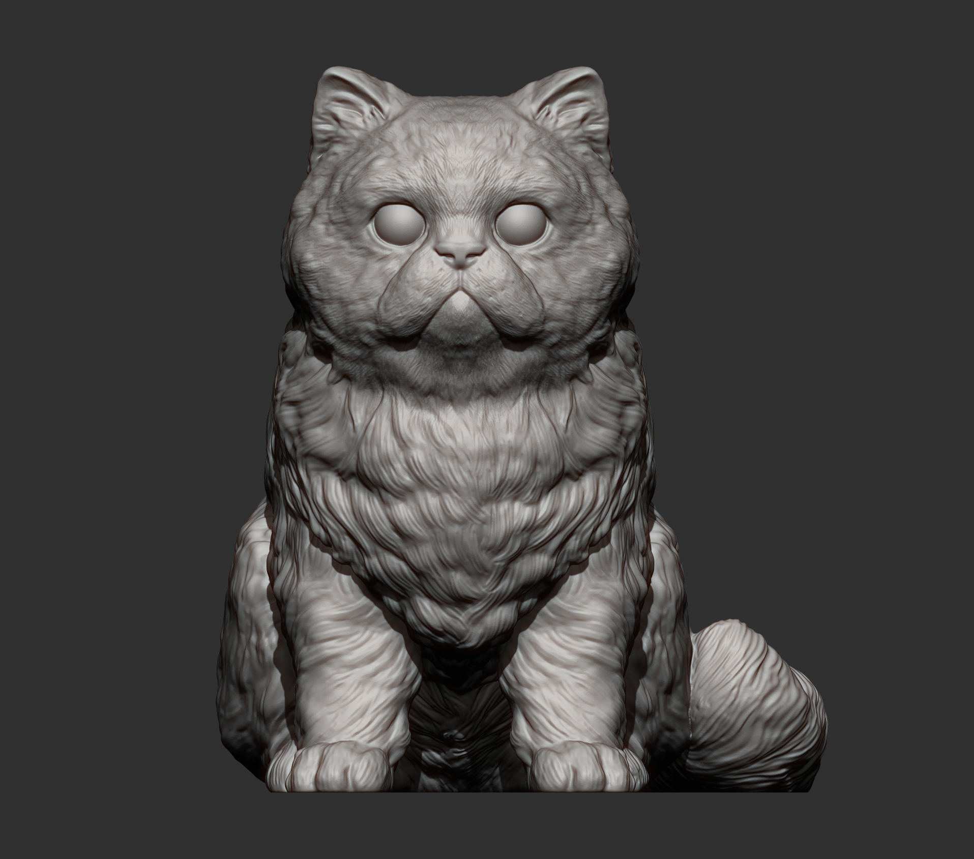 Persian cat sitting 3D print model_9