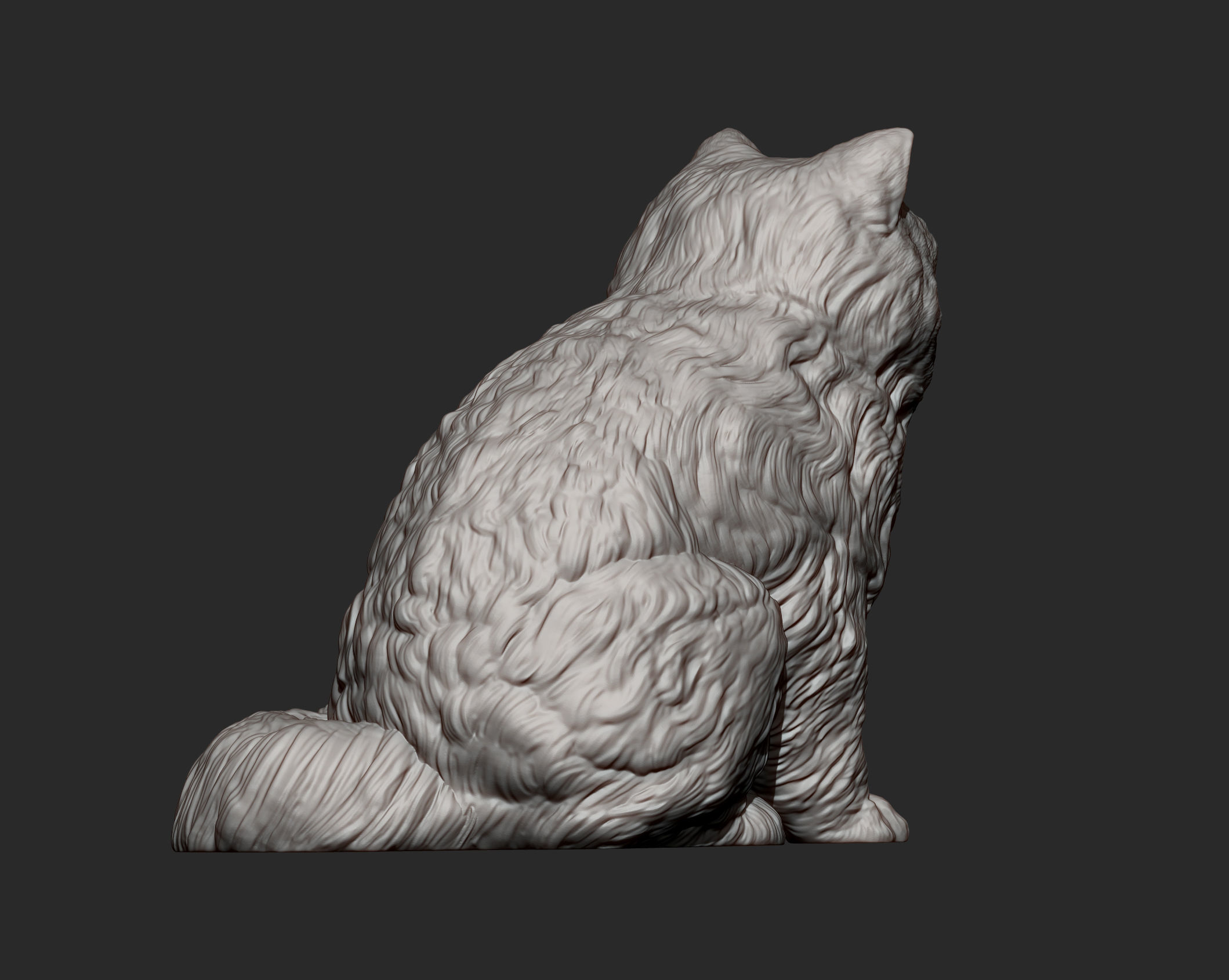 Persian cat sitting 3D print model_12